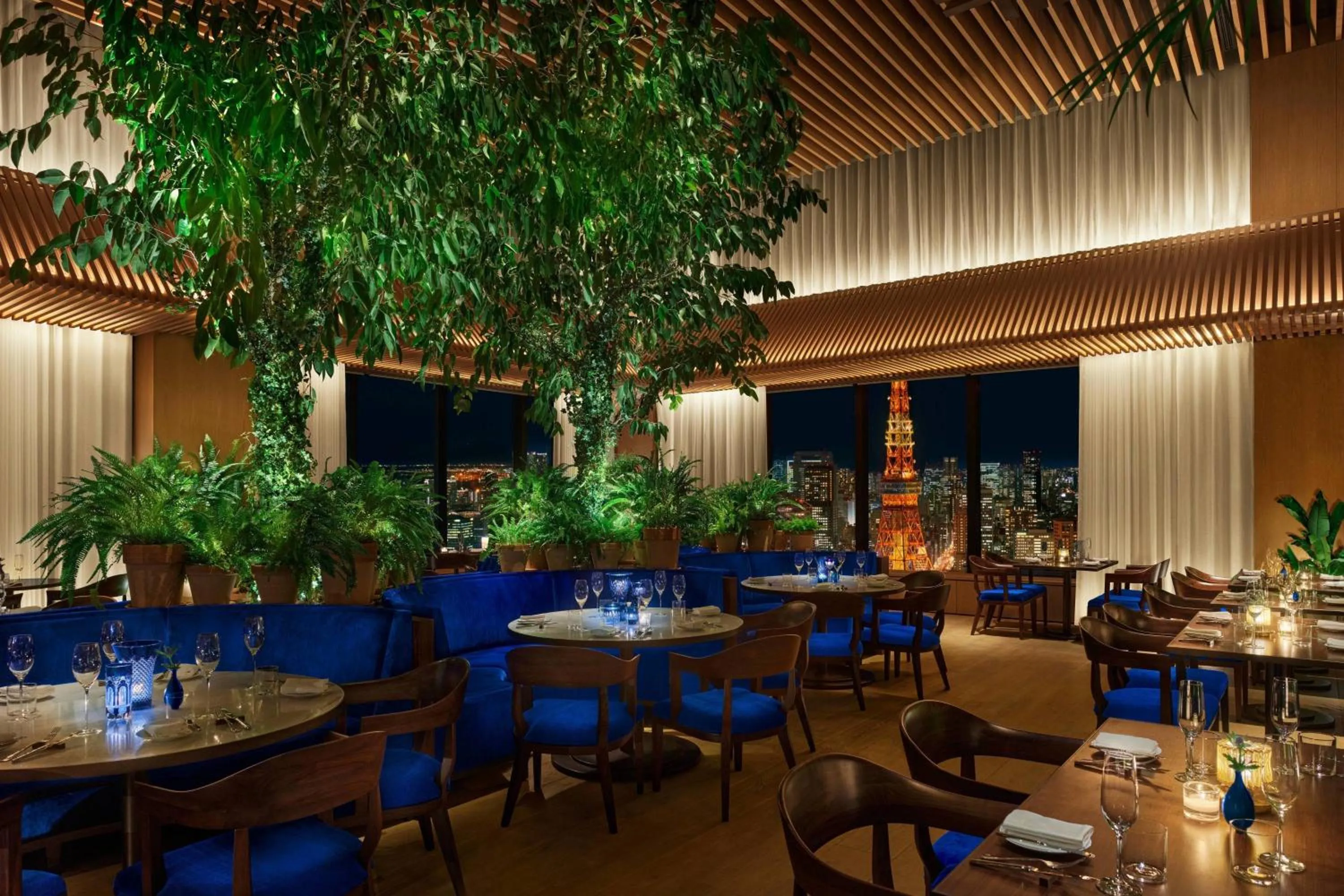 Restaurant/places to eat in The Tokyo EDITION, Toranomon