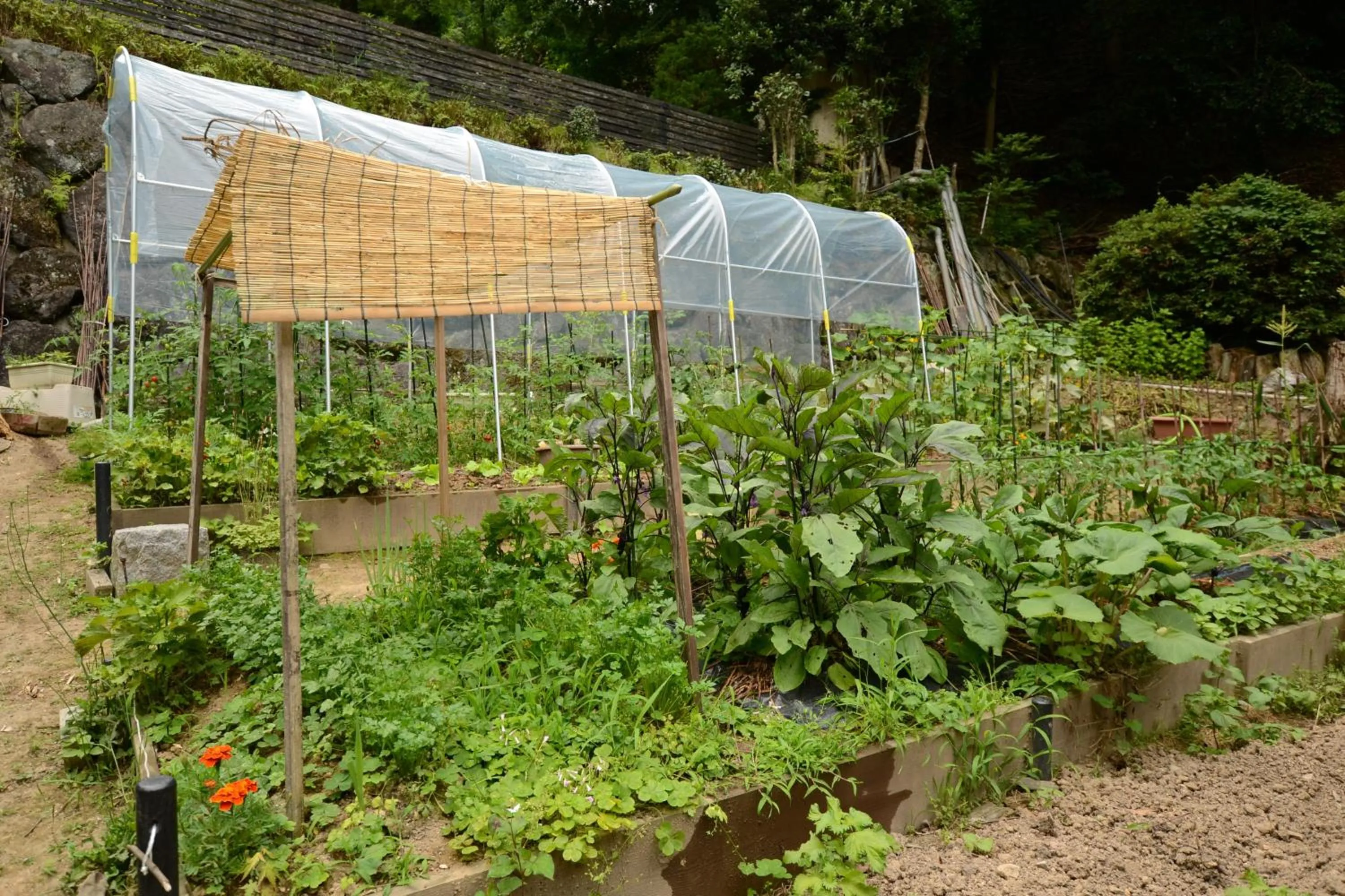 Off site in Kinosaki Tenboen