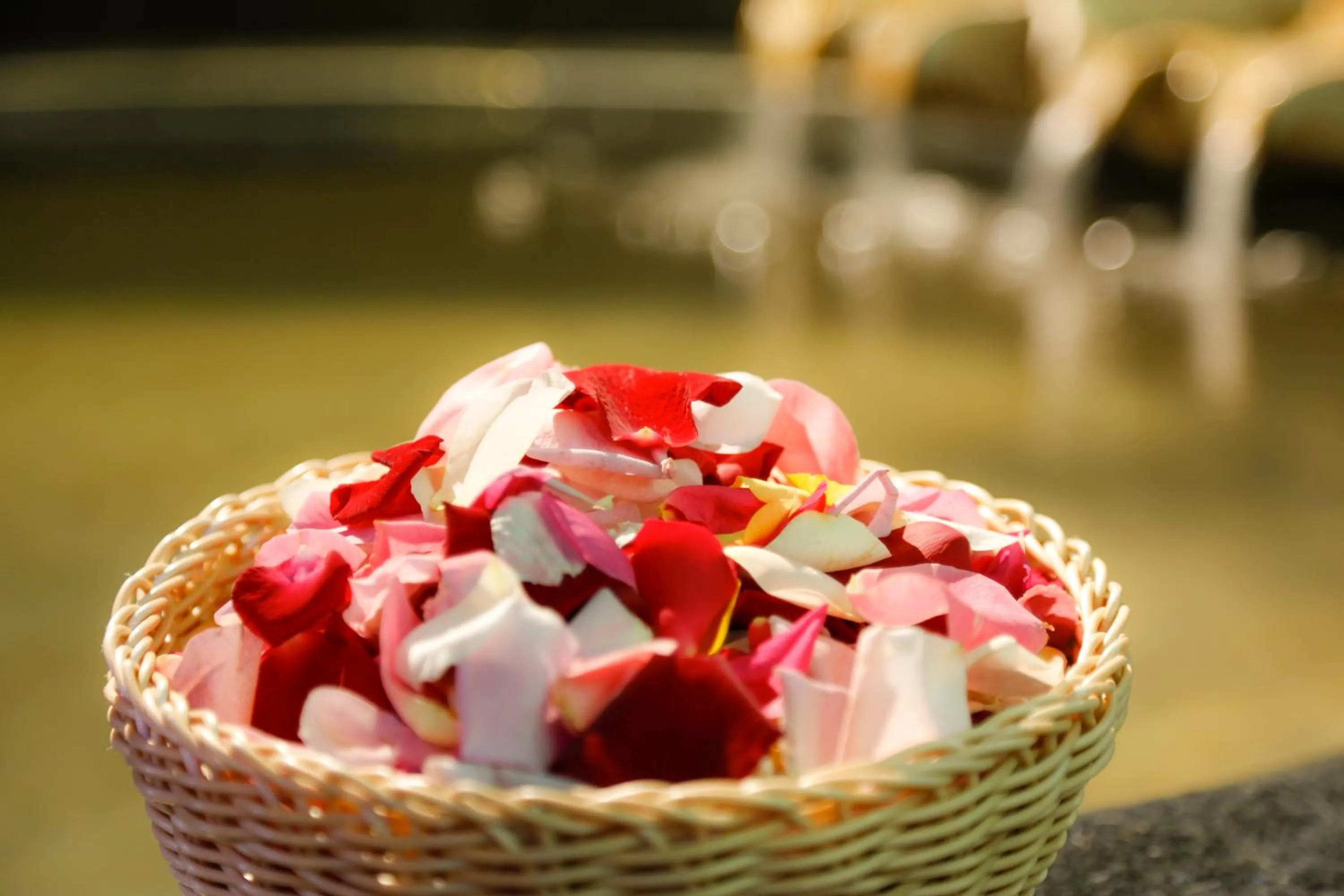 Hot Spring Bath in Kinosaki Tenboen