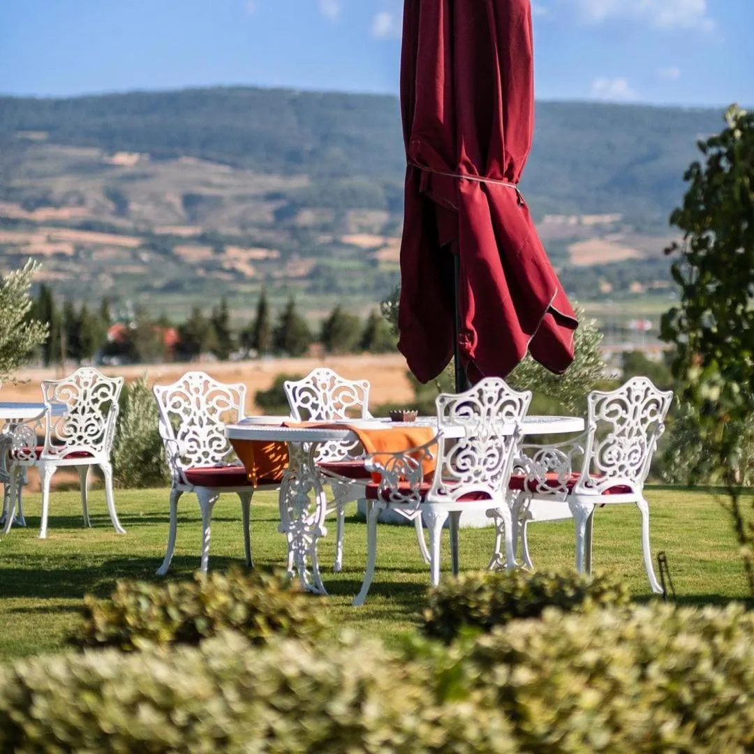 Garden in Avec Hotel