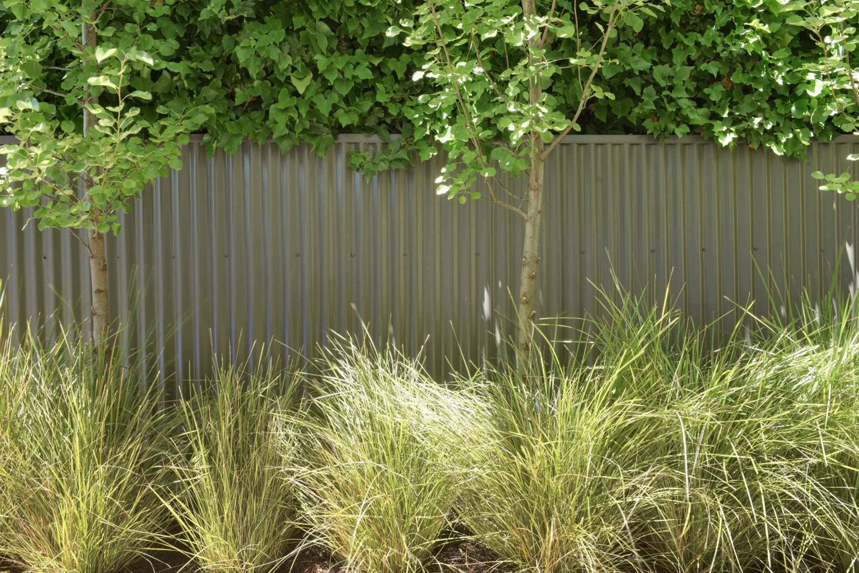 Garden, Facade/Entrance in Arabella on West