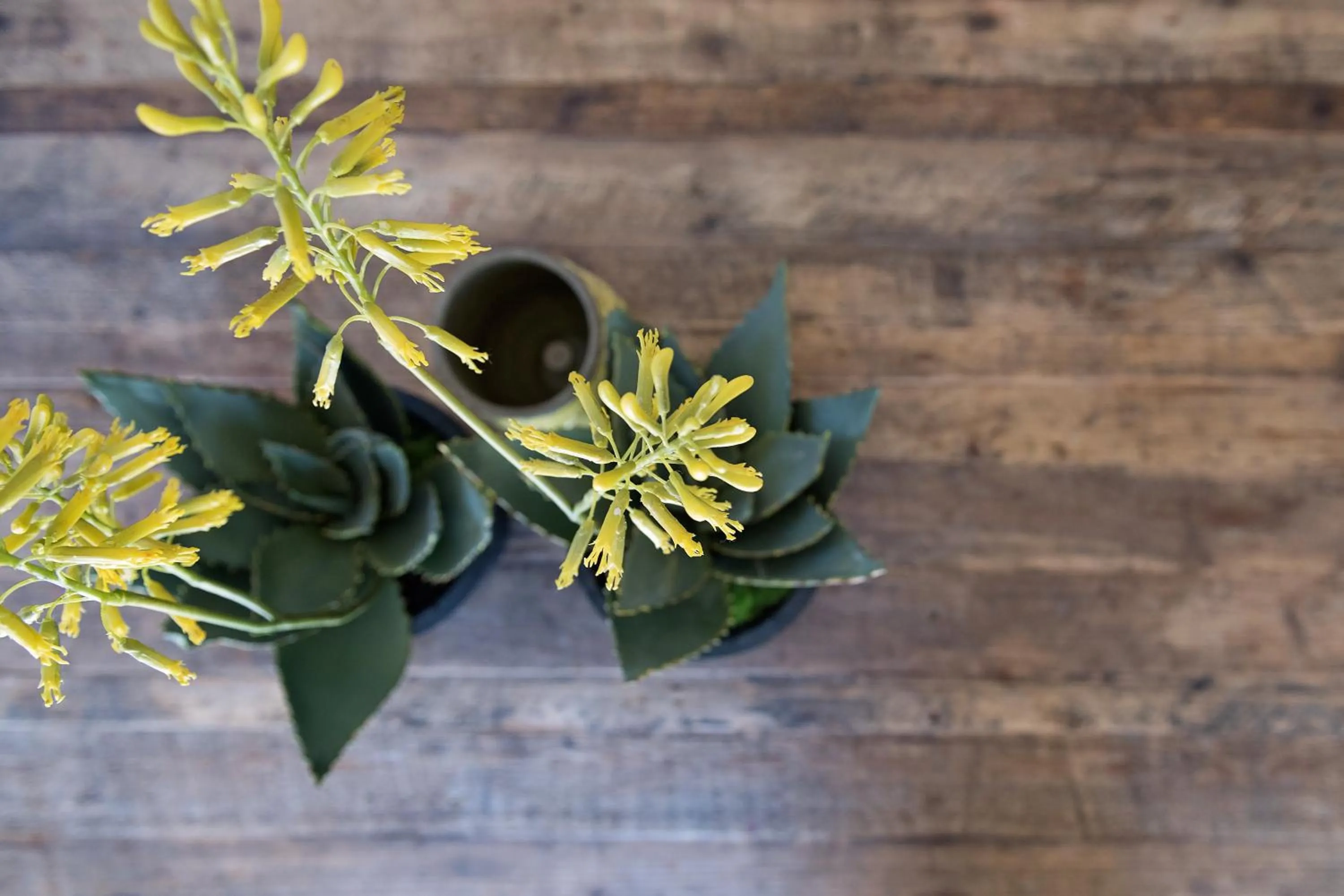 Decorative detail, BBQ Facilities in Arabella on West