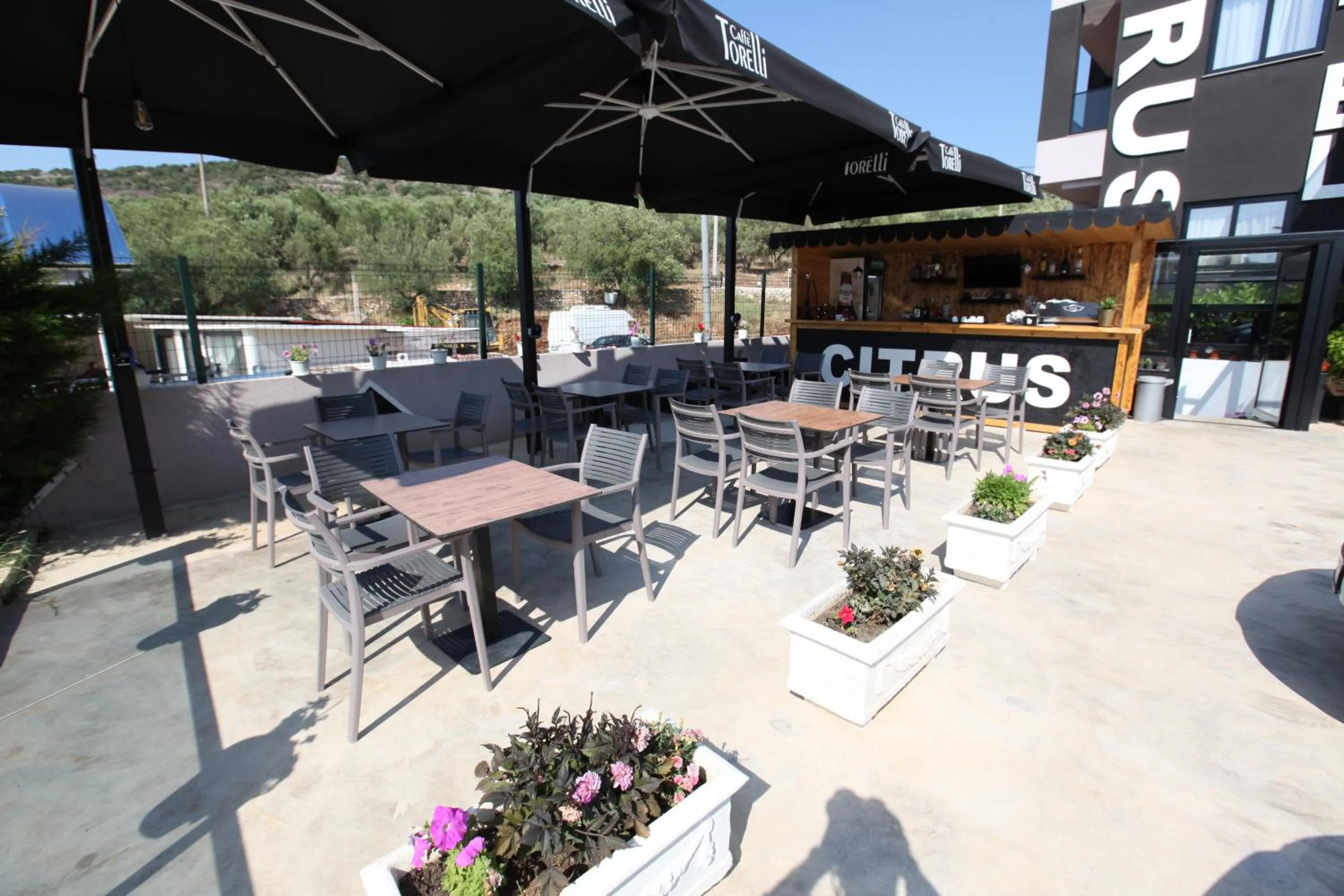 Lounge or bar in Hotel Citrus