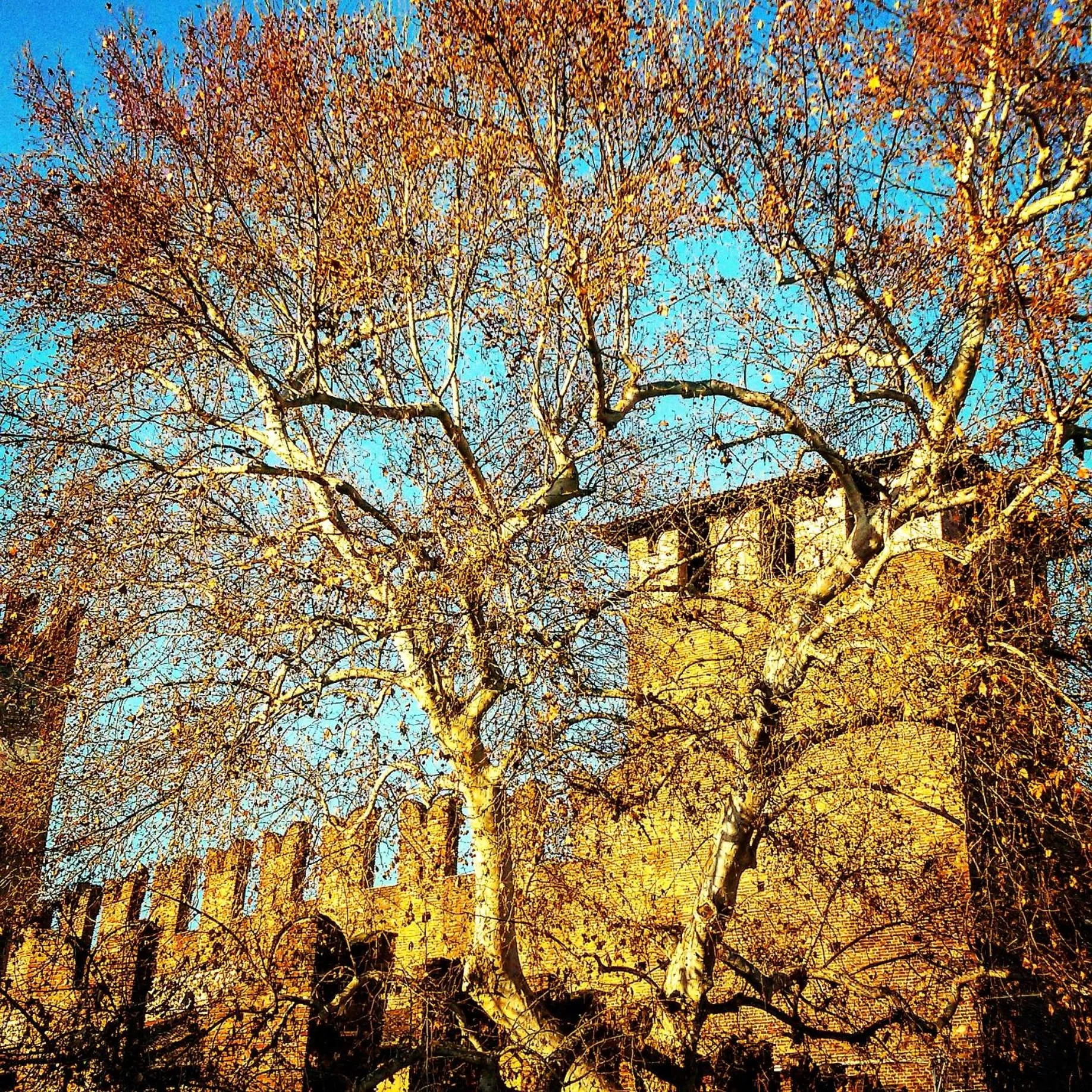 Neighbourhood in Casa Fola - City Centre Rooms
