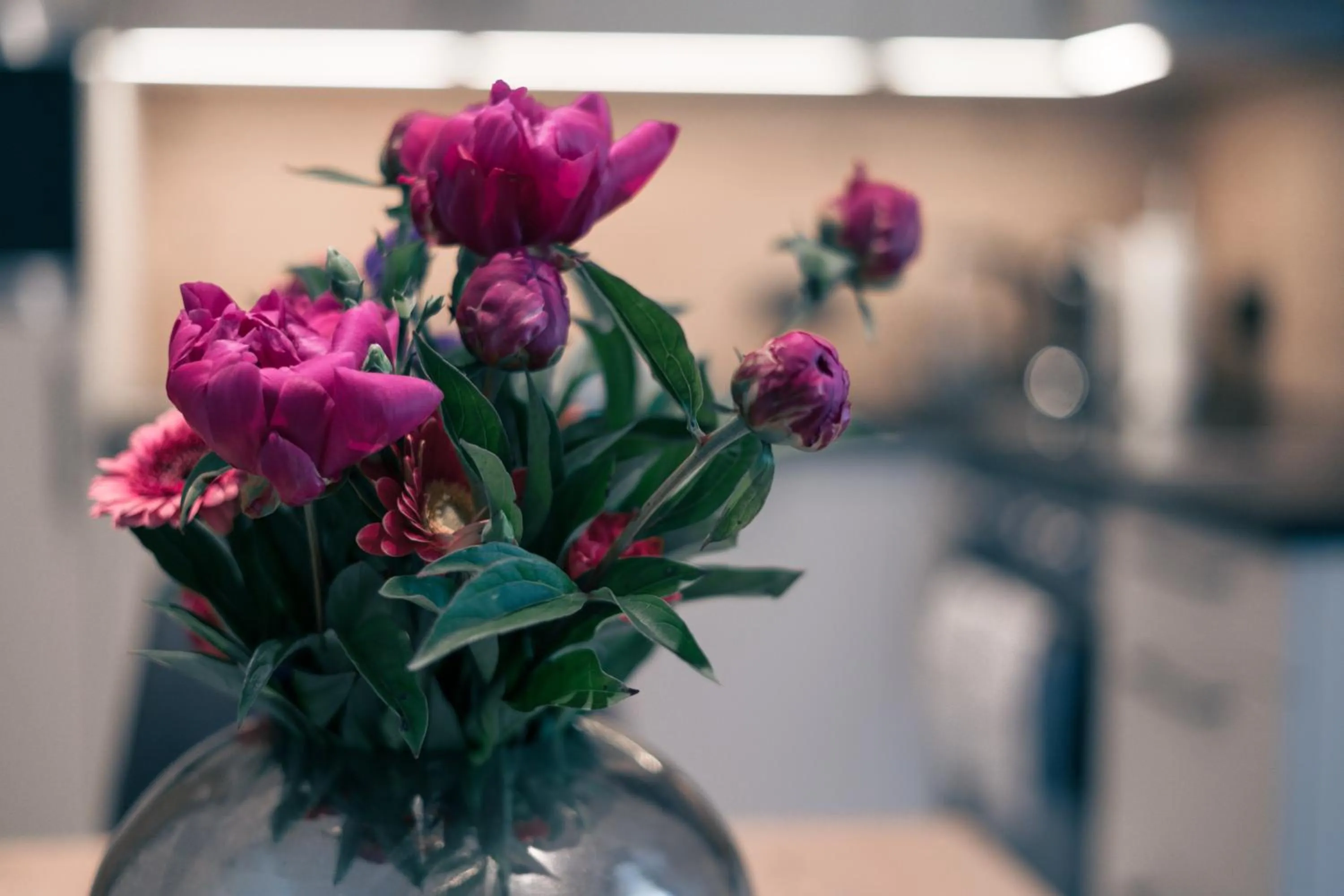 Decorative detail in Apart Gstrein - including Silvretta Premium Summercard