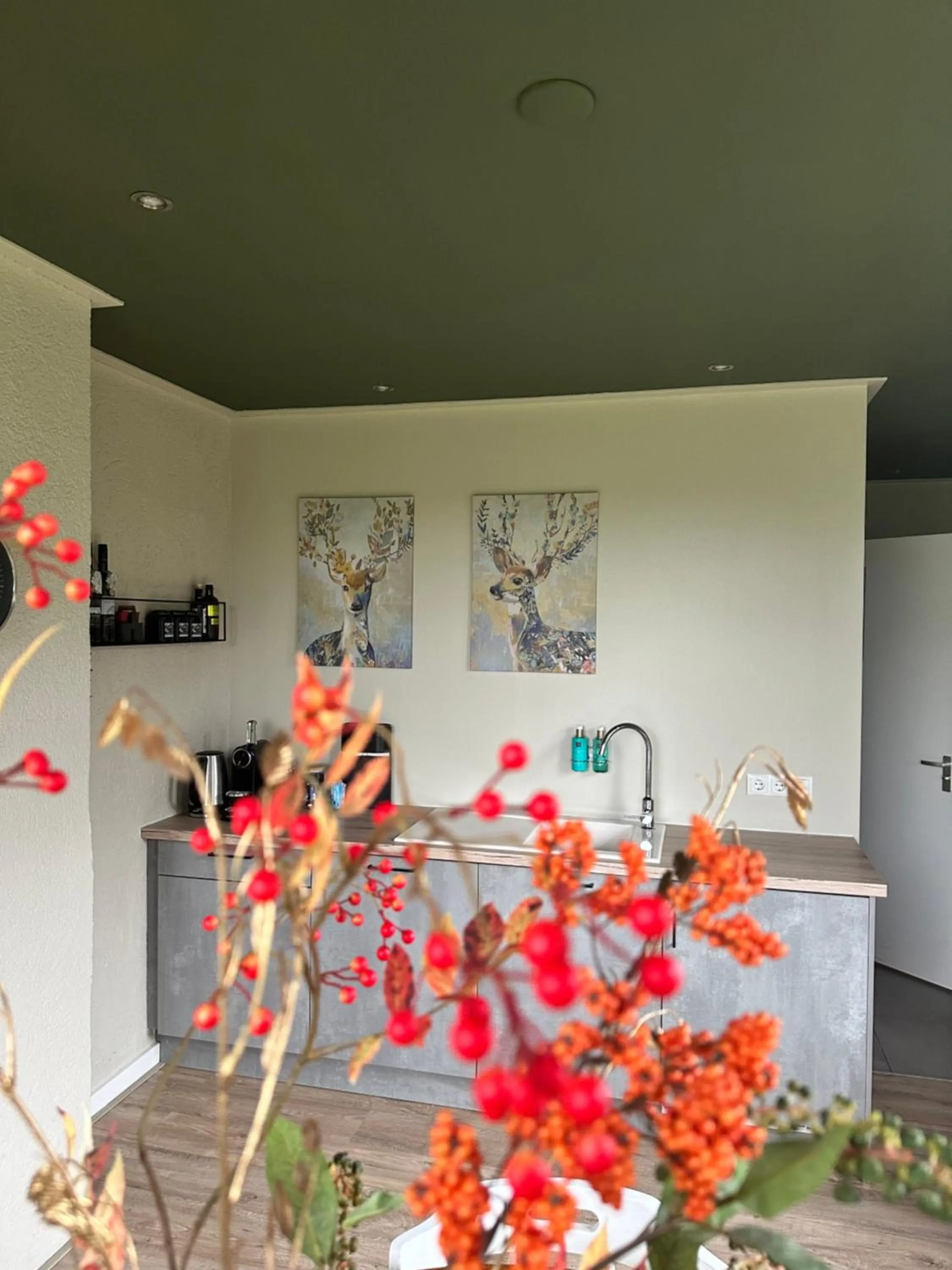 Kitchen or kitchenette in B&B Borgersteeg