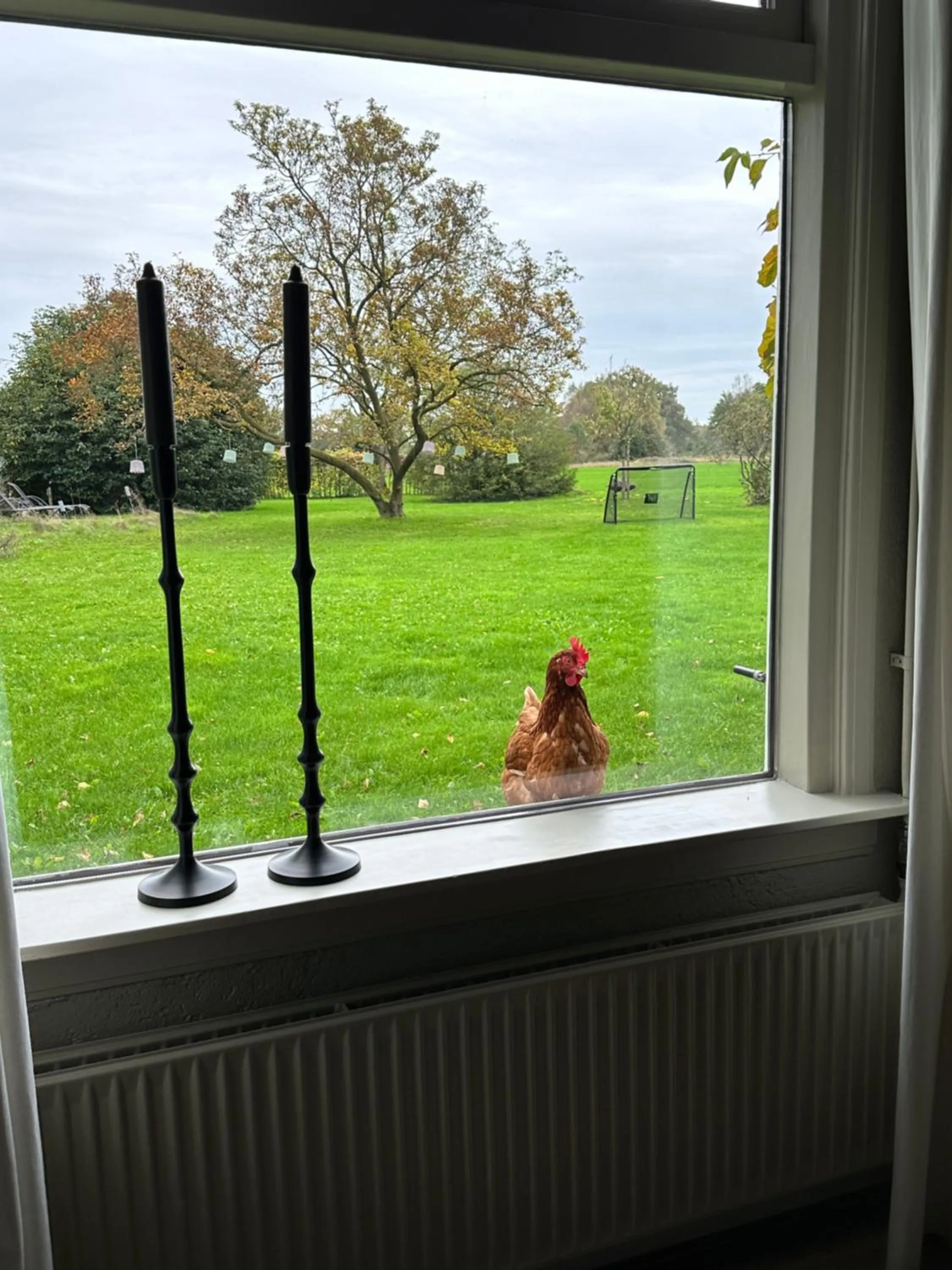 View (from property/room) in B&B Borgersteeg