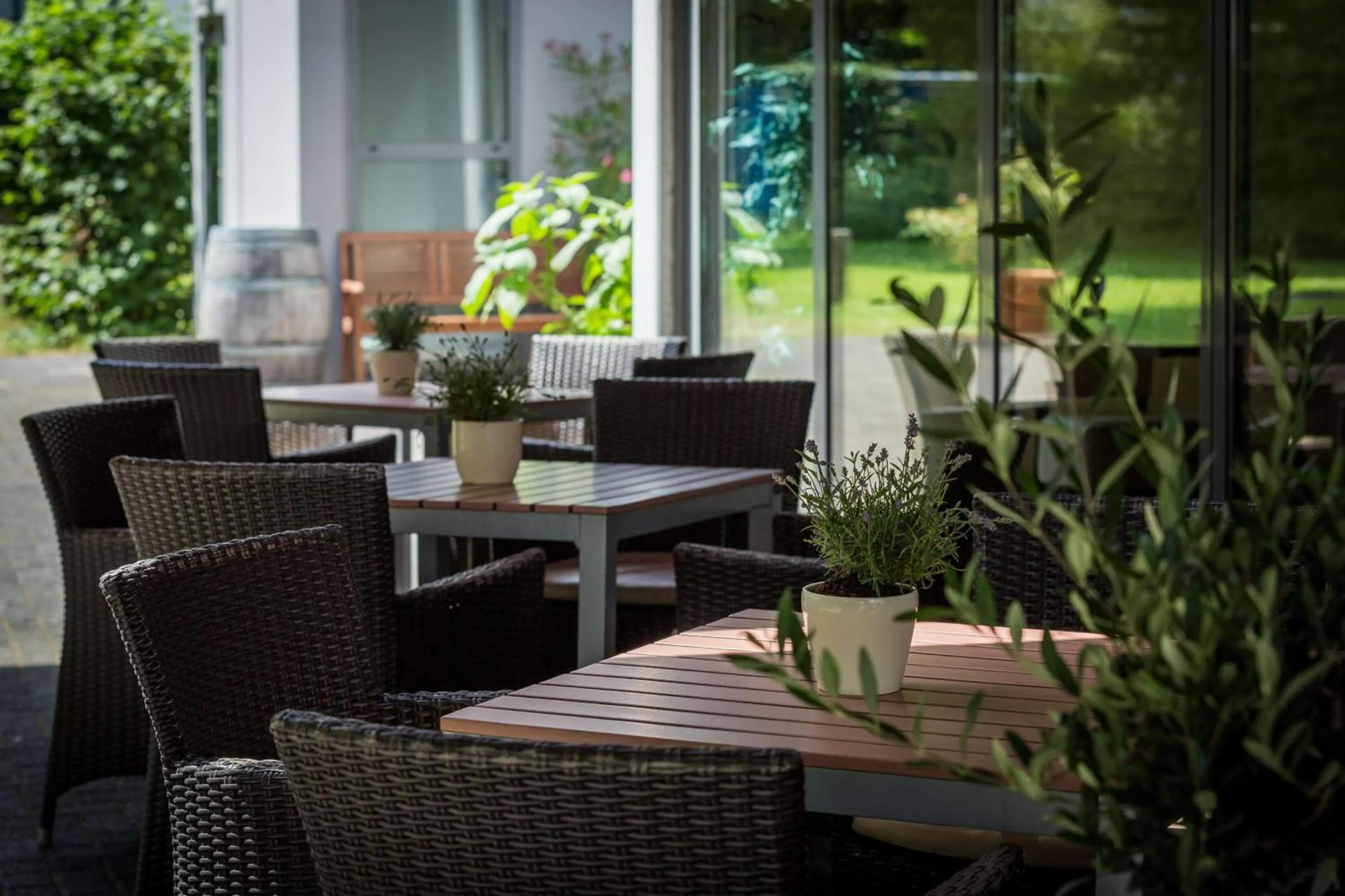 Food and drinks in Best Western Macrander Hotel Frankfurt/Kaiserlei