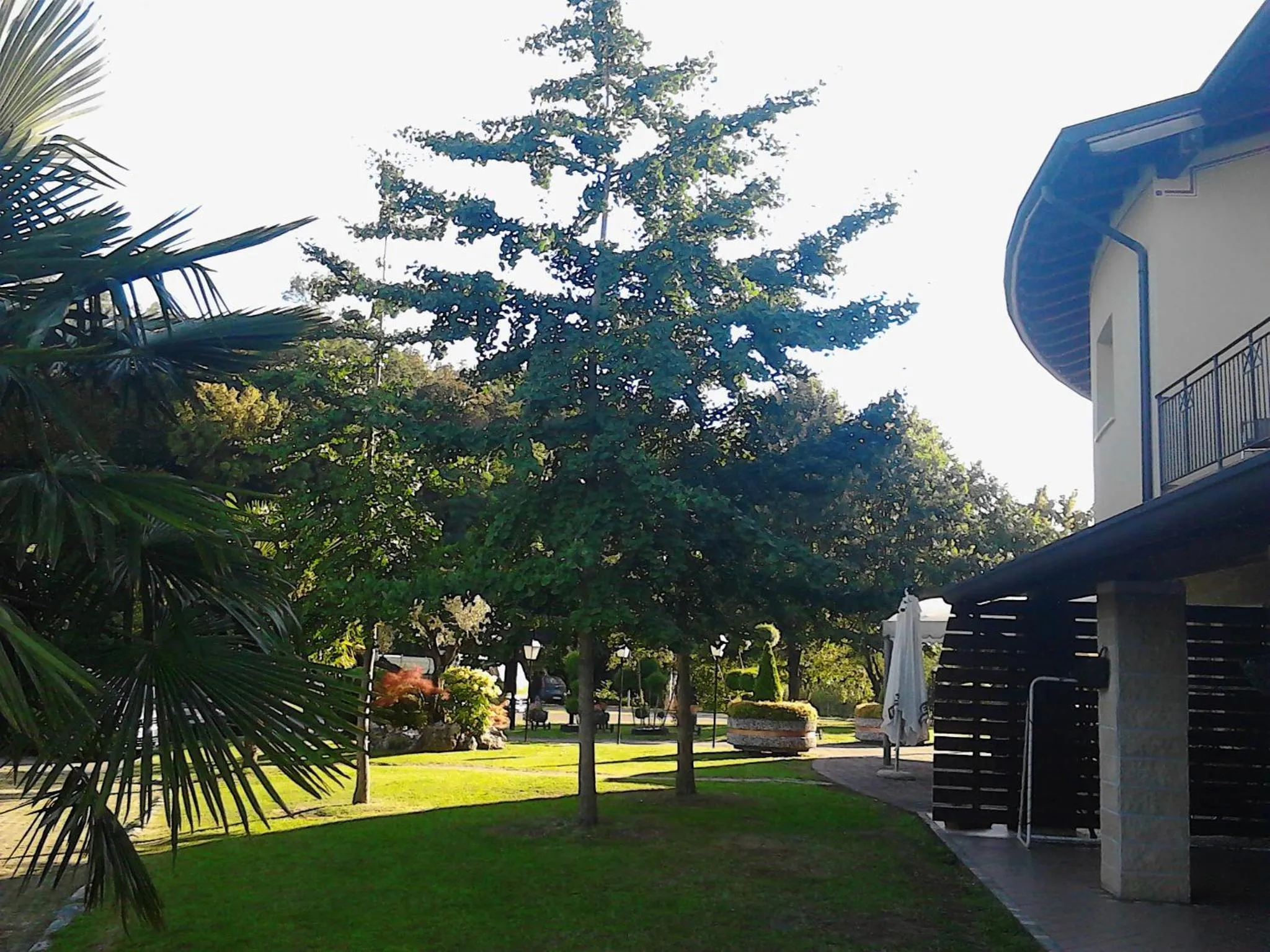 Balcony/Terrace in Ca' Del Bosco