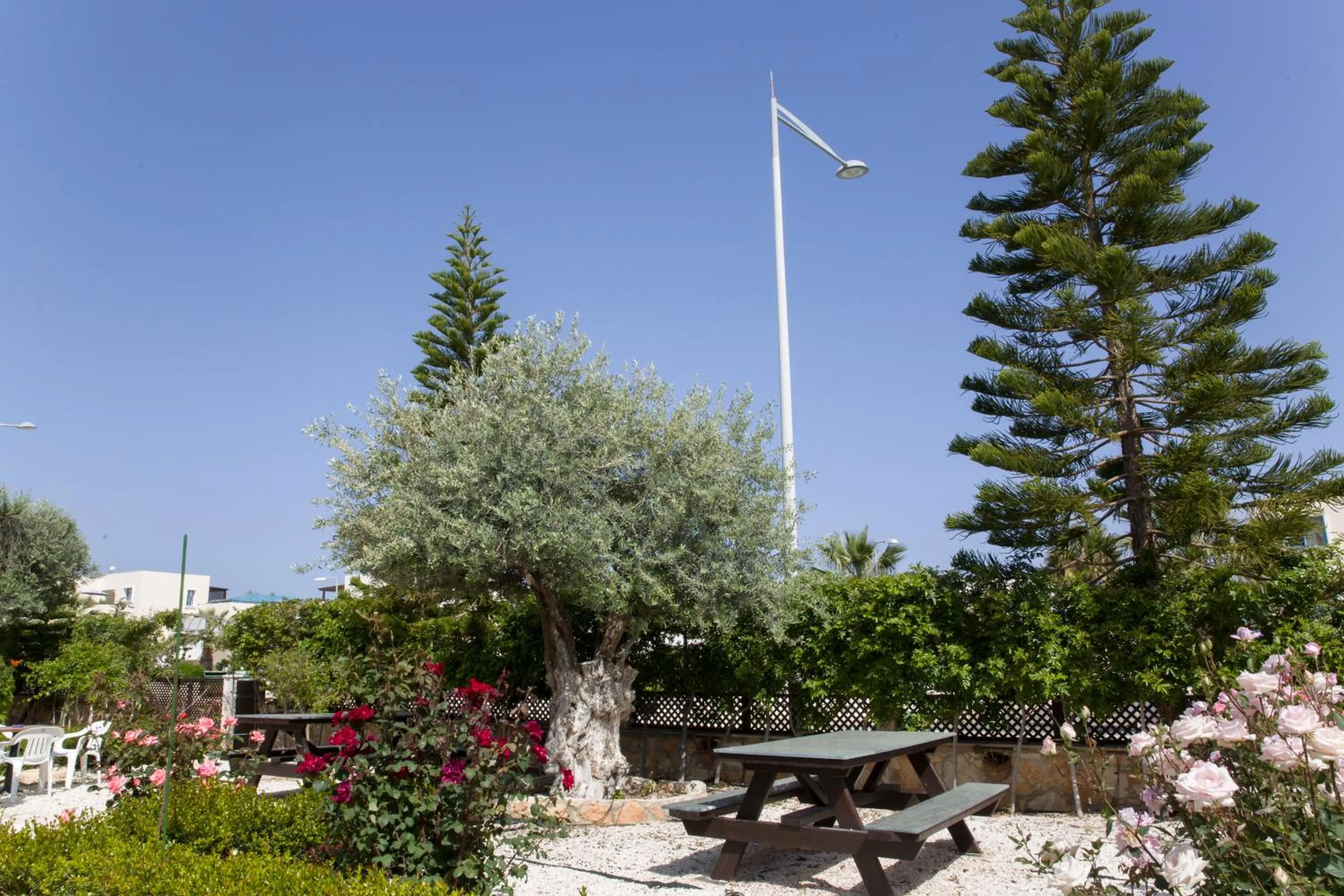 BBQ facilities in Eliofos Elegant Maisonettes