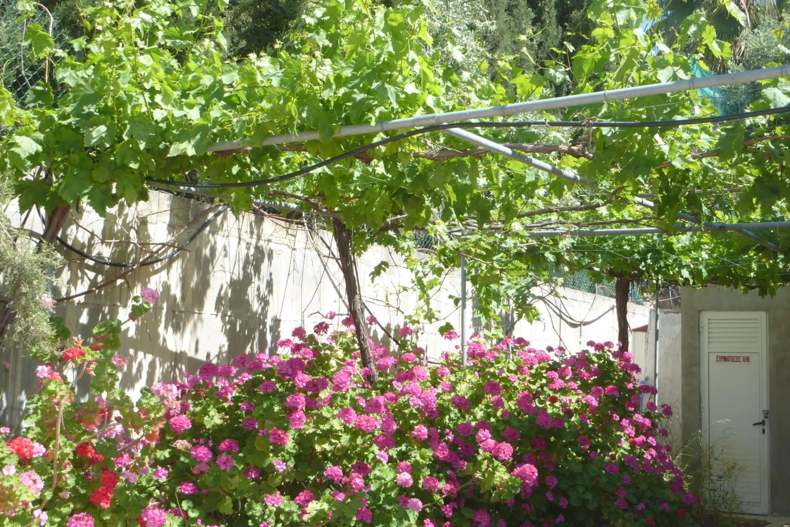 Garden in Eliofos Elegant Maisonettes