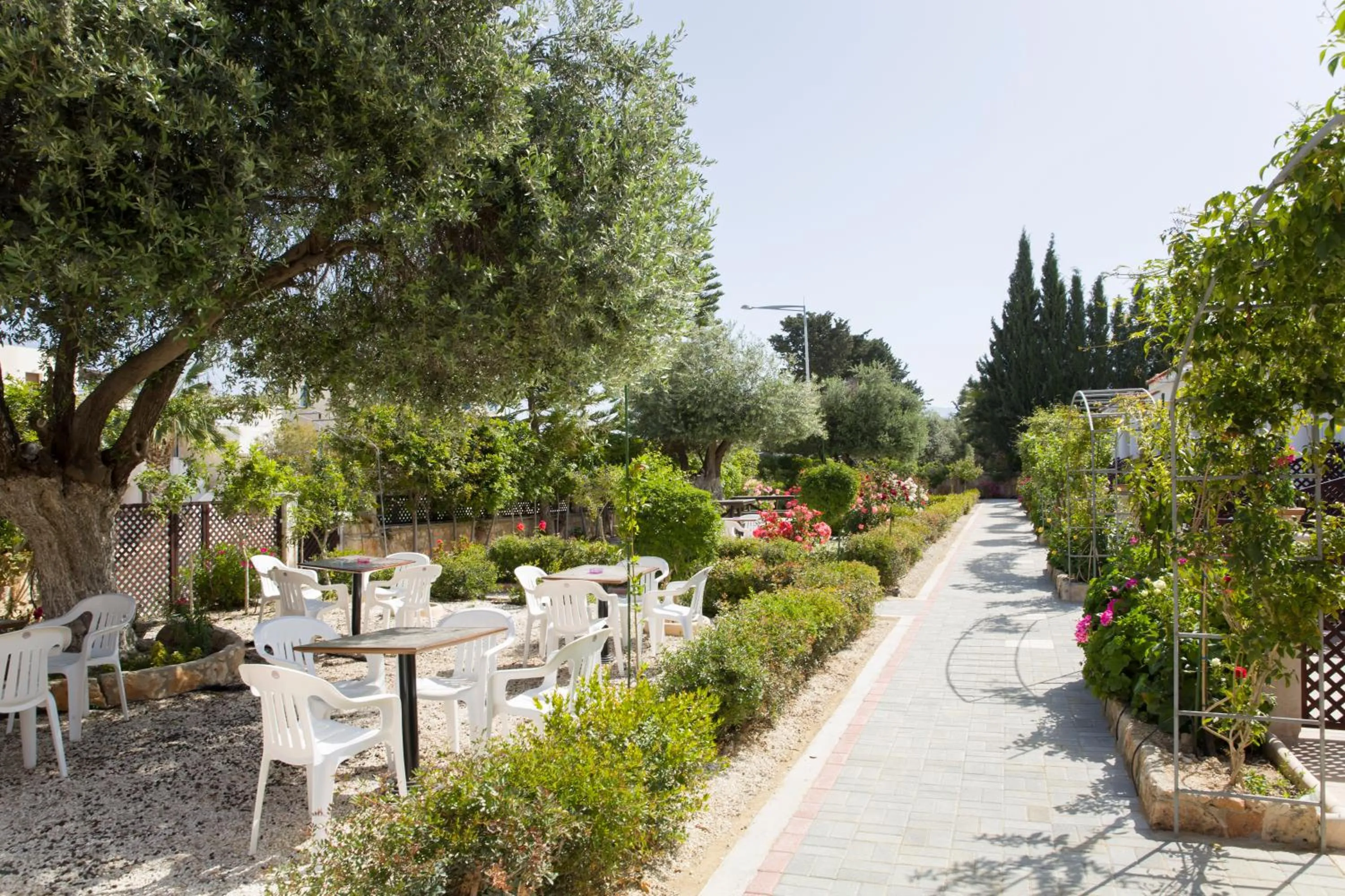 BBQ facilities in Eliofos Elegant Maisonettes