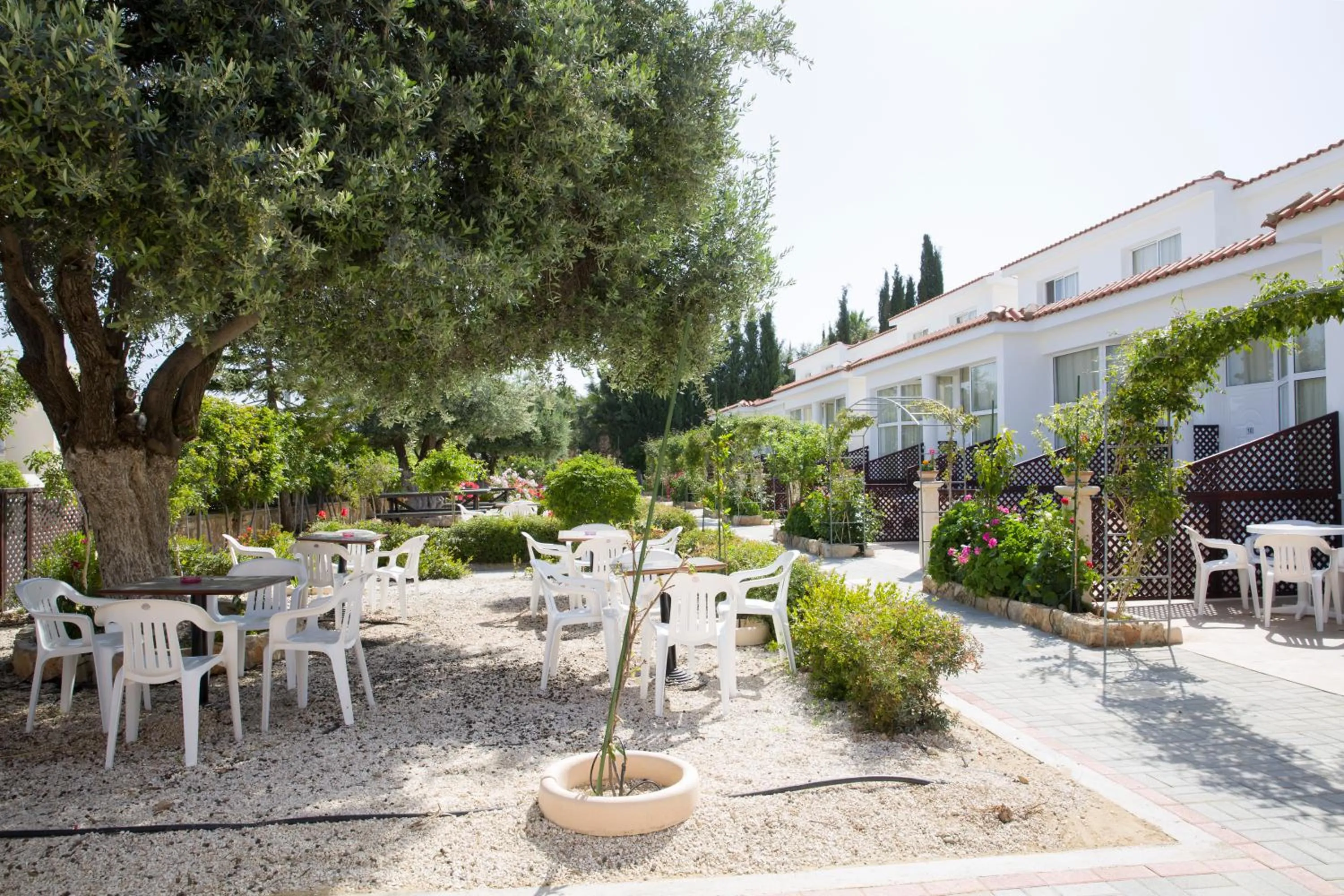 BBQ facilities in Eliofos Elegant Maisonettes