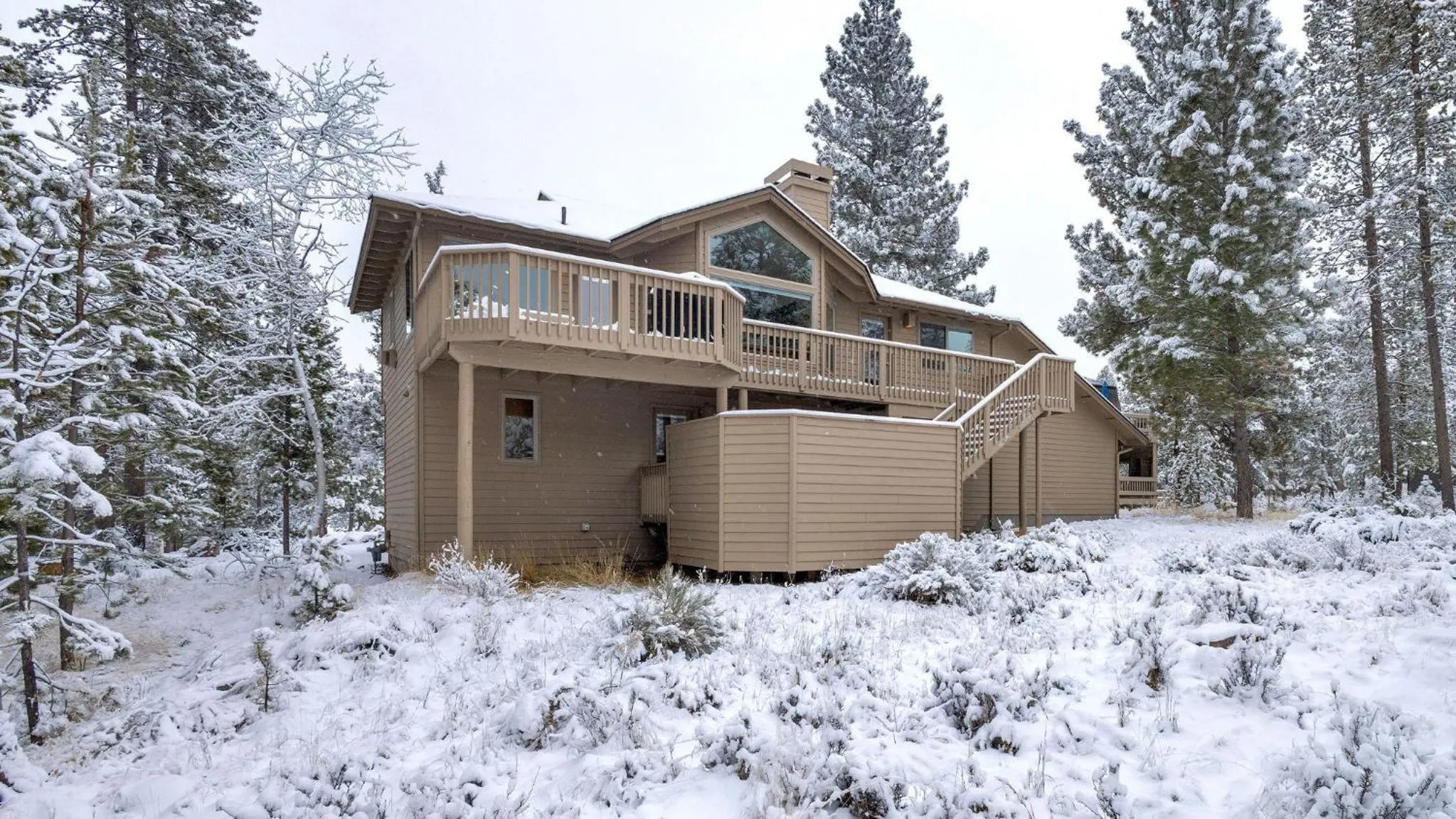 Vine Maple - Unit 30