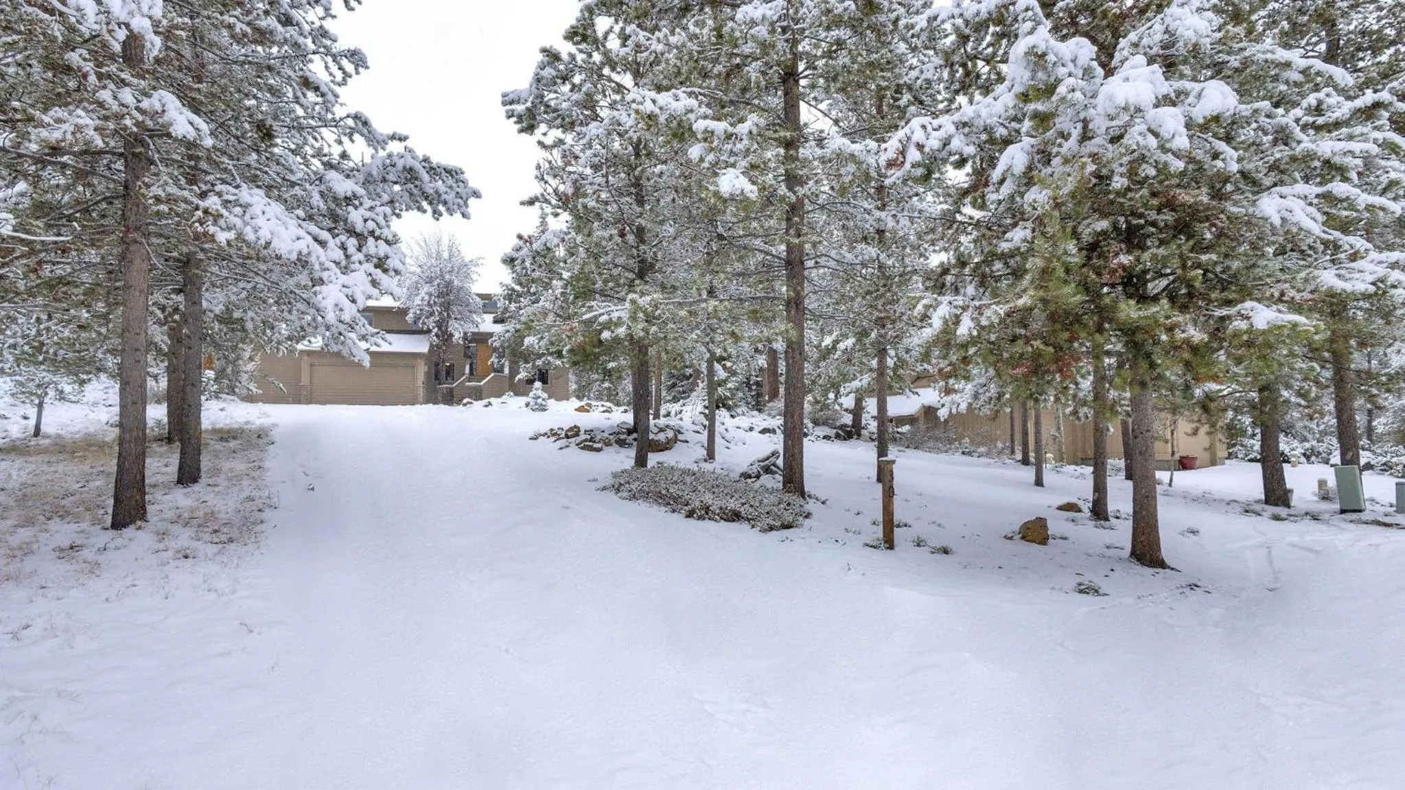 Vine Maple - Unit 30