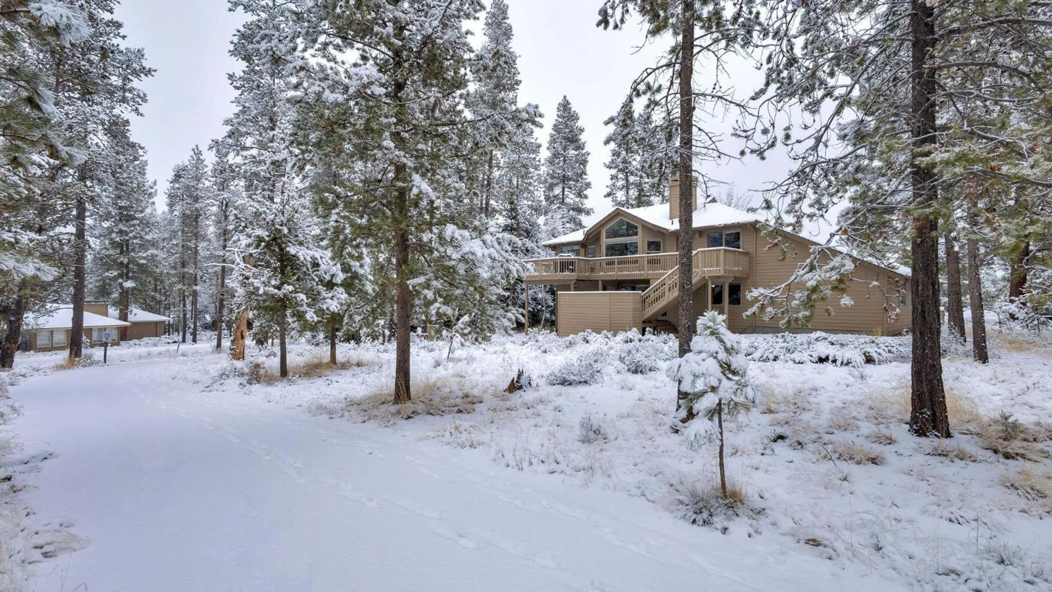 Vine Maple - Unit 30