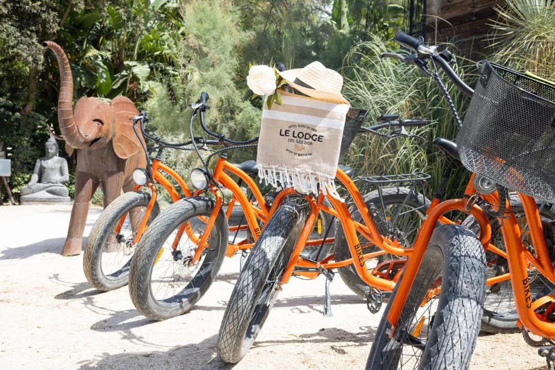 Cycling in Le Lodge des Îles d'Or