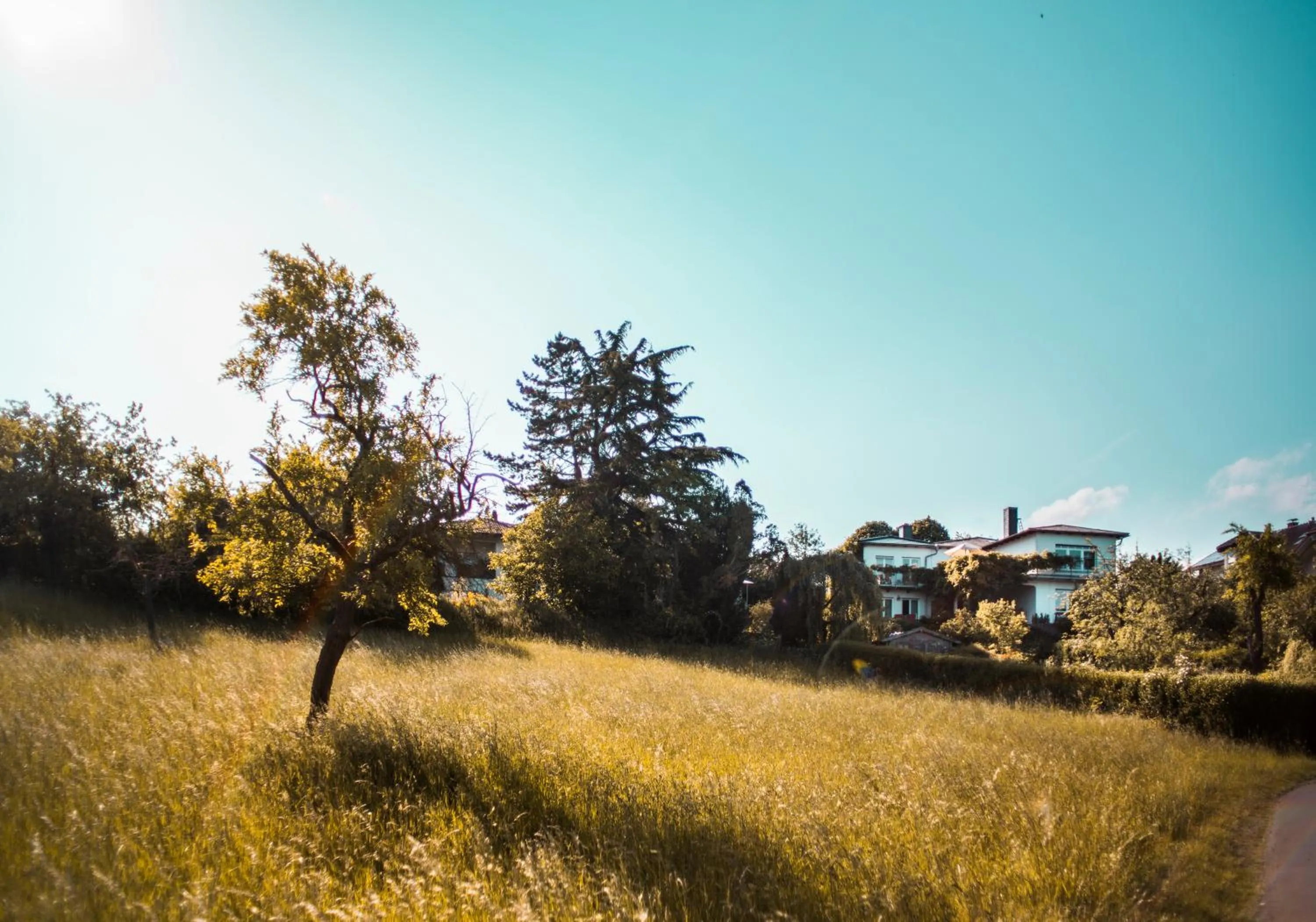 Property building in Bed & Breakfast Unter den Linden