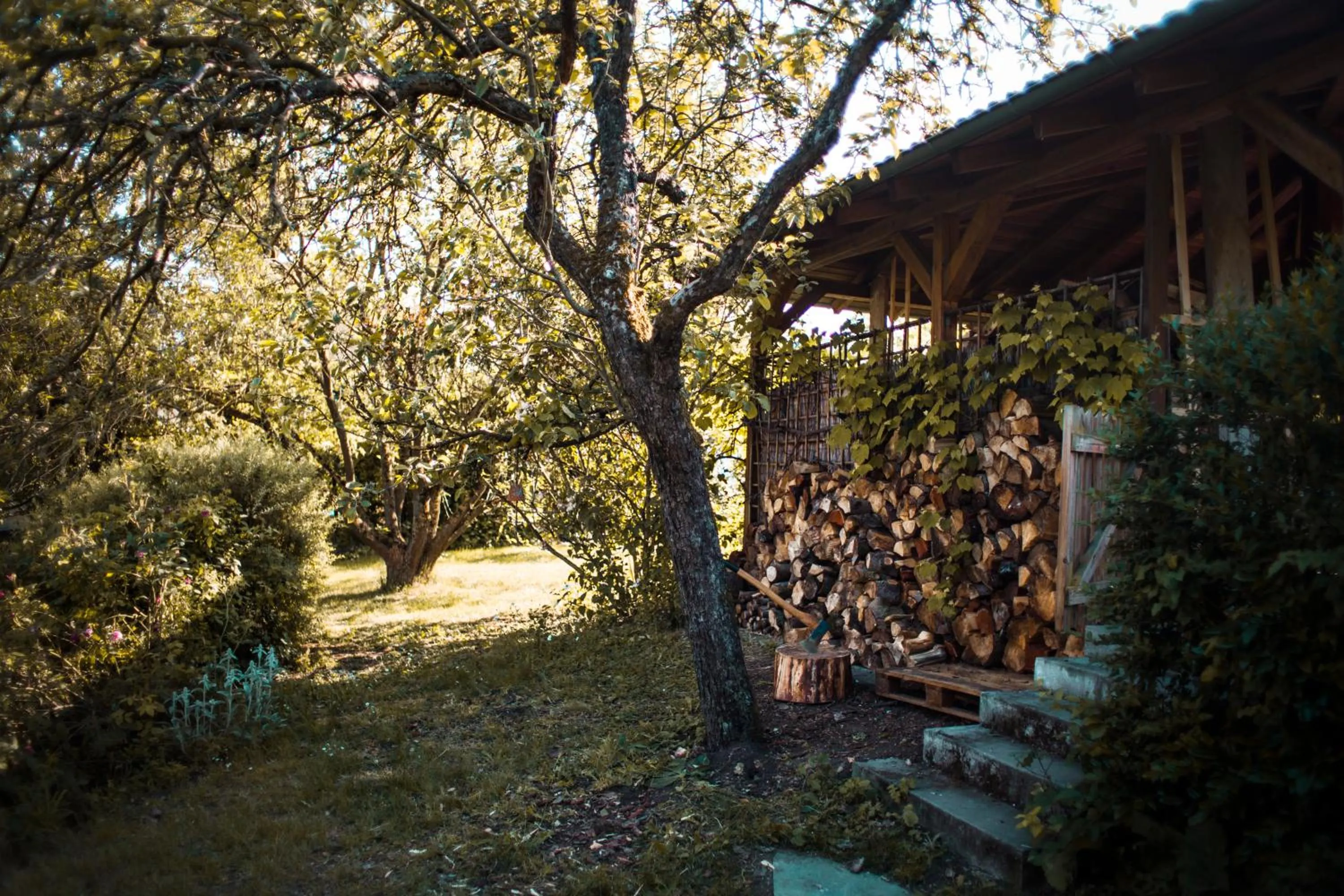 Property building in Bed & Breakfast Unter den Linden