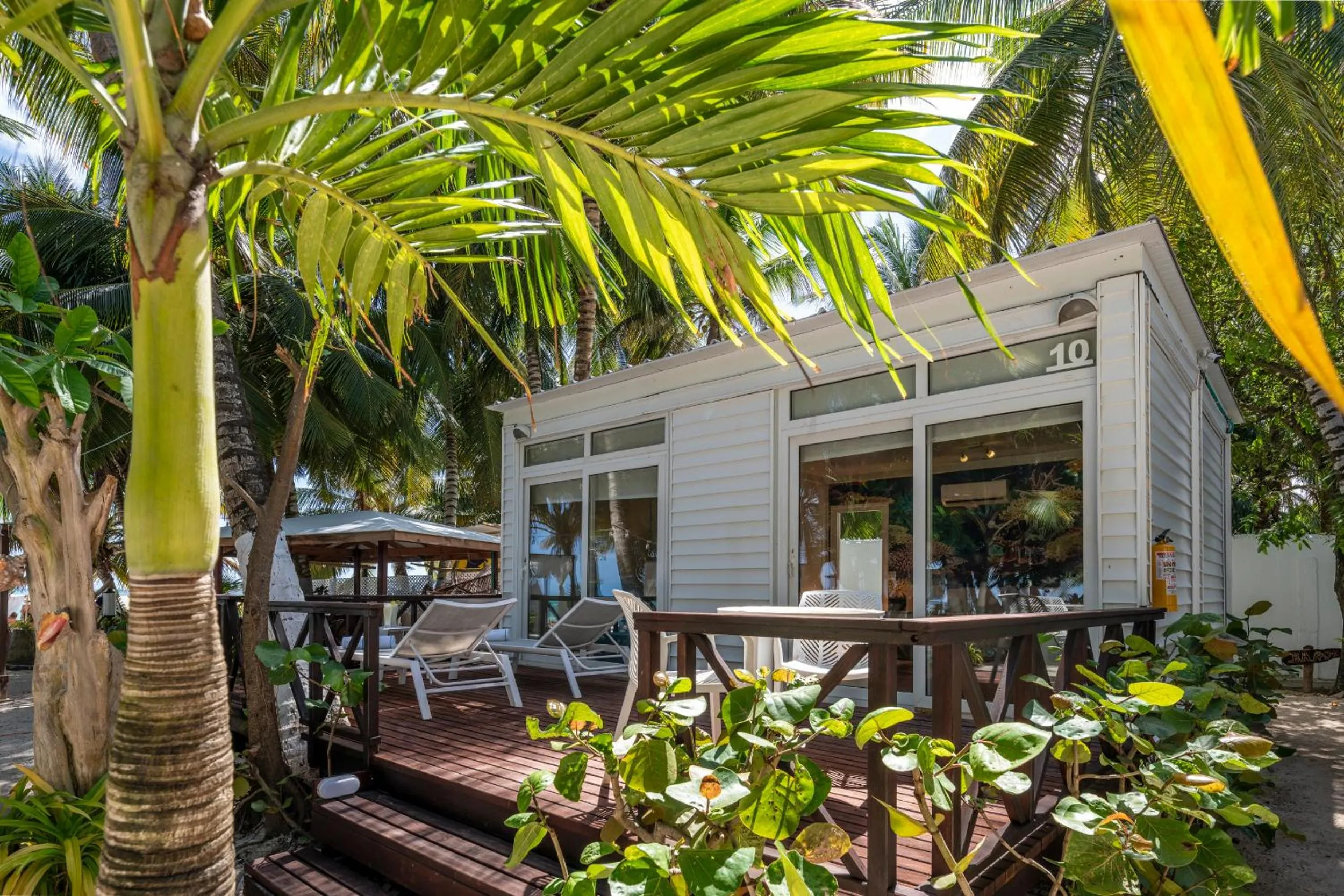 Balcony/Terrace in Hotel Reina del Mar By Dorado