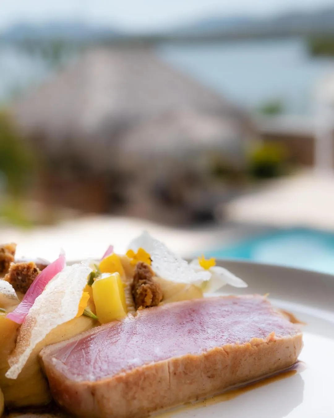 Food and drinks in Hôtel Iloma