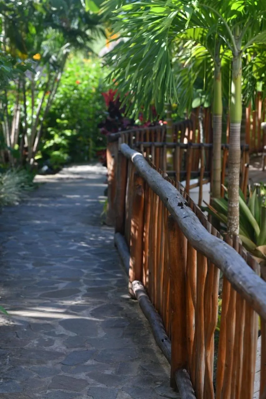 Garden in Hôtel Iloma