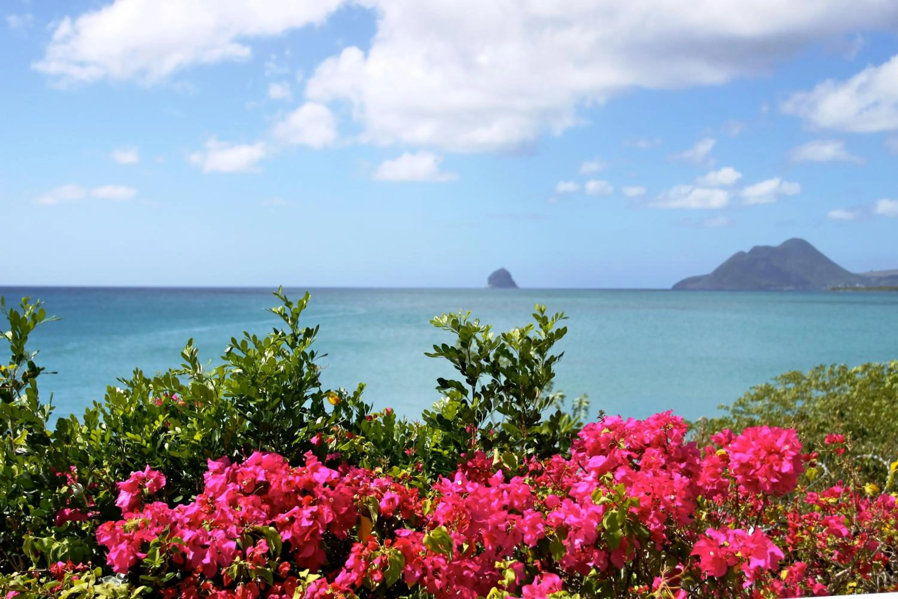Patio in Hôtel Iloma