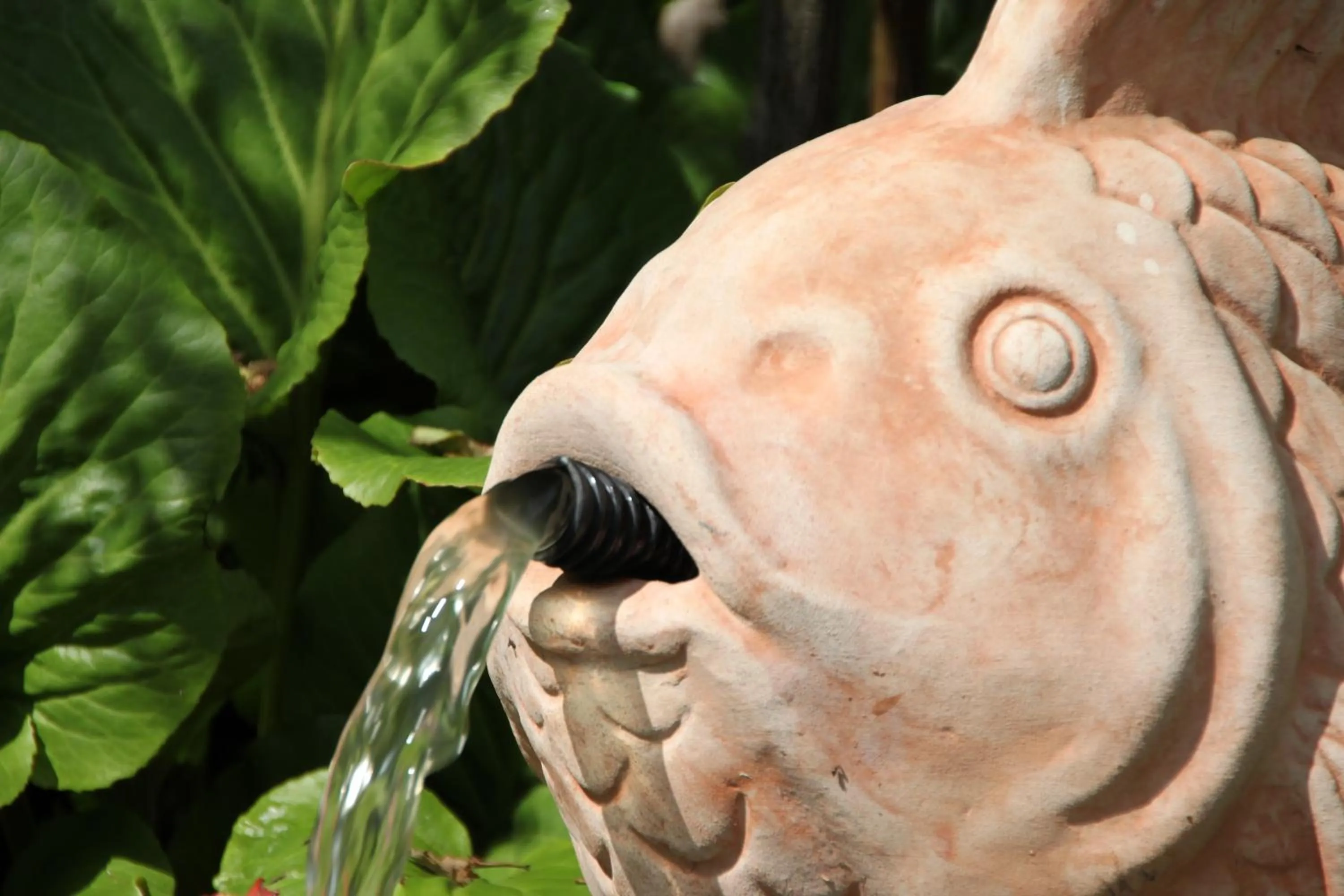 Garden in Haus am Kurpark