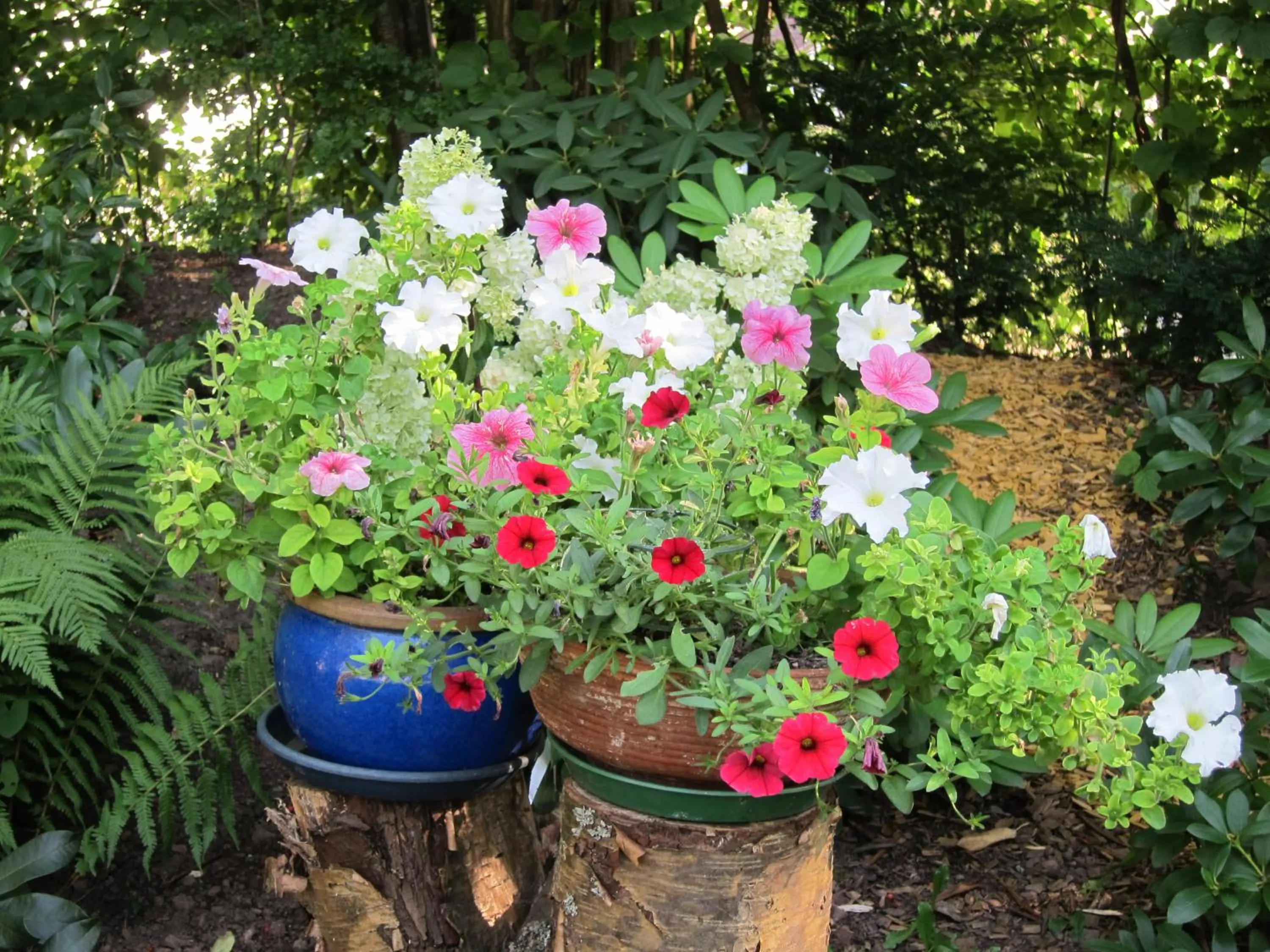 Garden in Haus am Kurpark