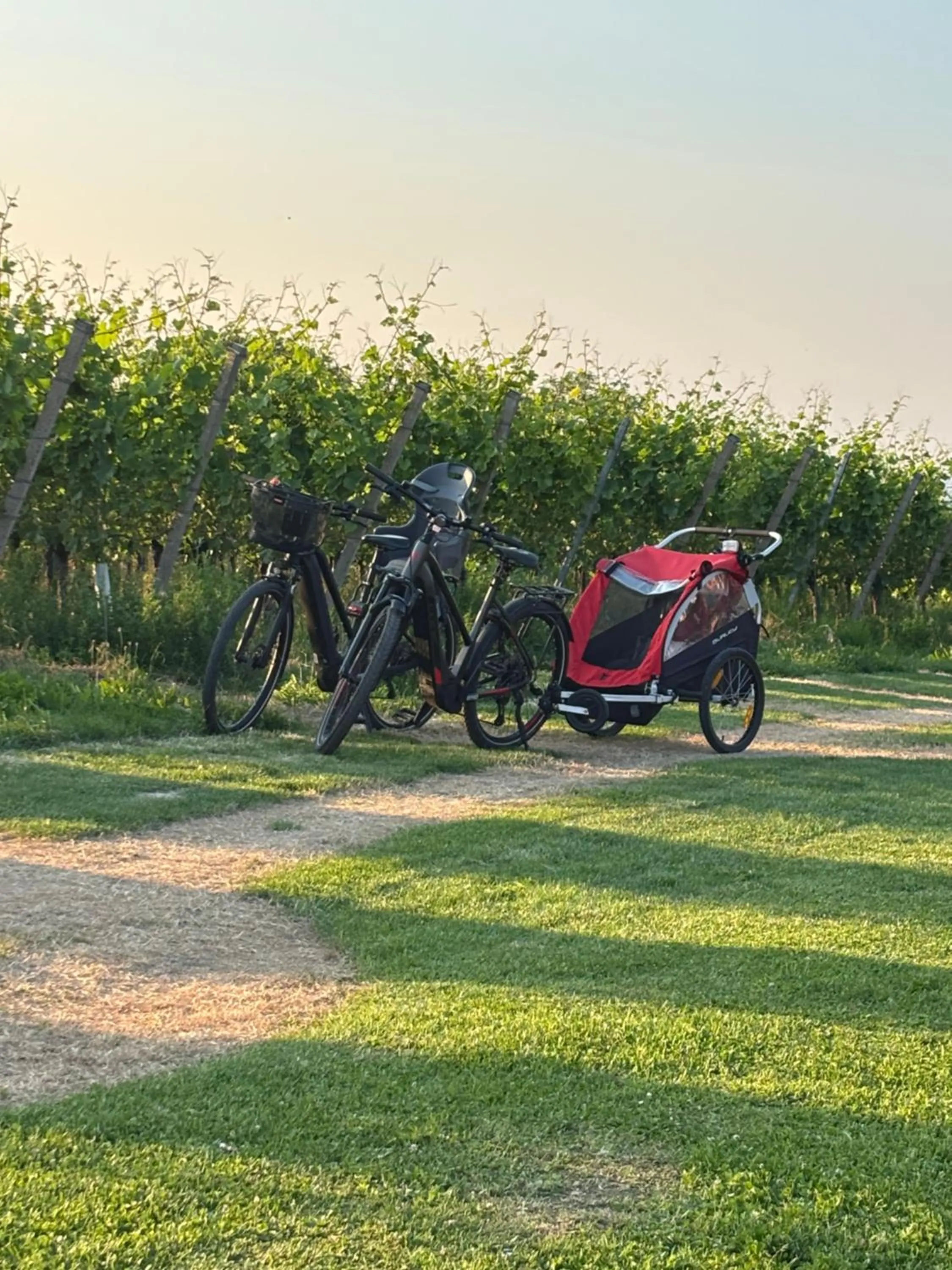 Hiking in Hotel Garni Schmieder’s Ochsen