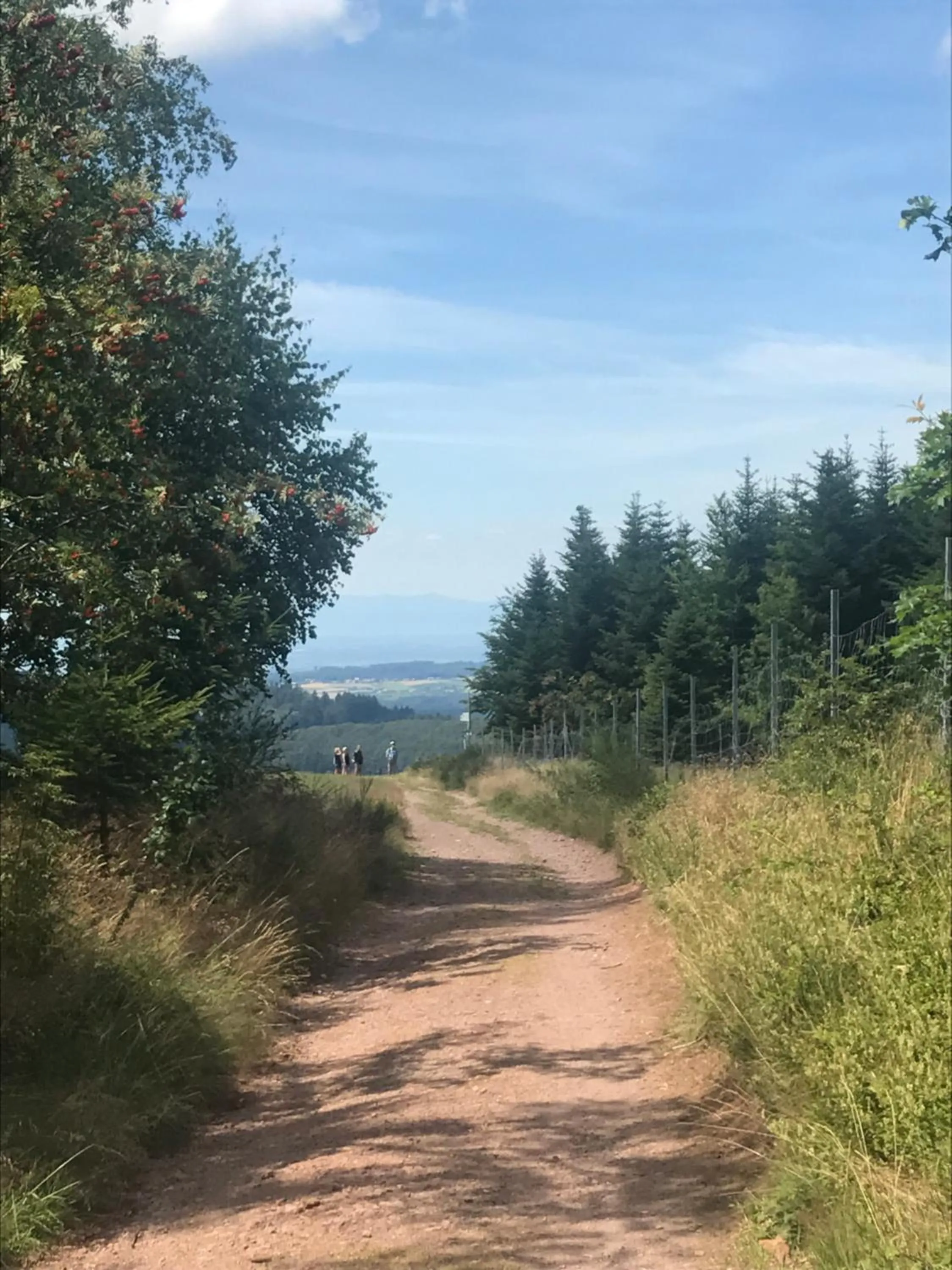 Hiking in Hotel Garni Schmieder’s Ochsen