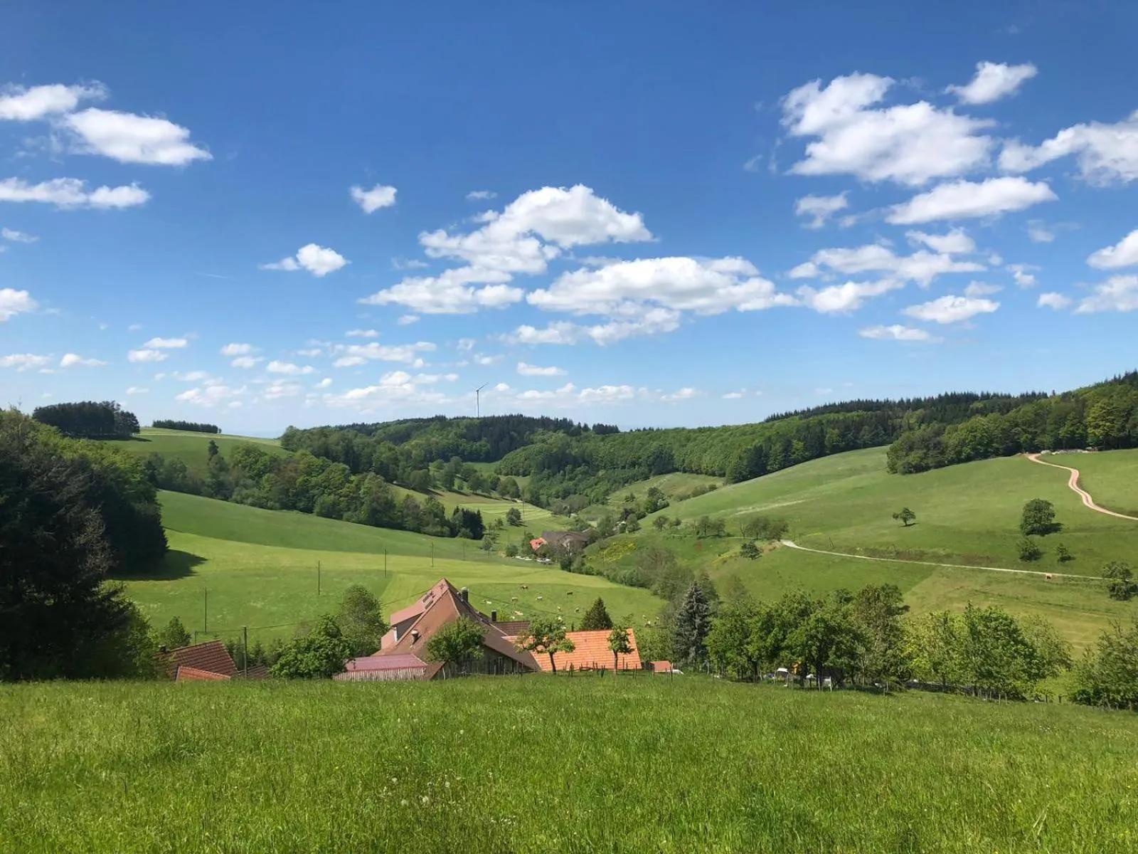 Natural landscape in Hotel Garni Schmieder’s Ochsen