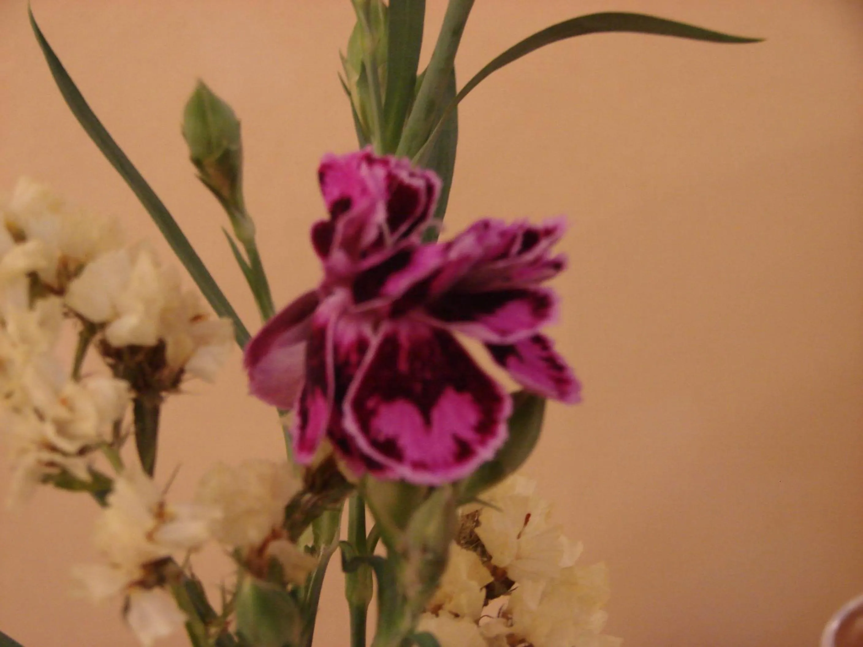 Autumn in Rotenberg PT Hotel