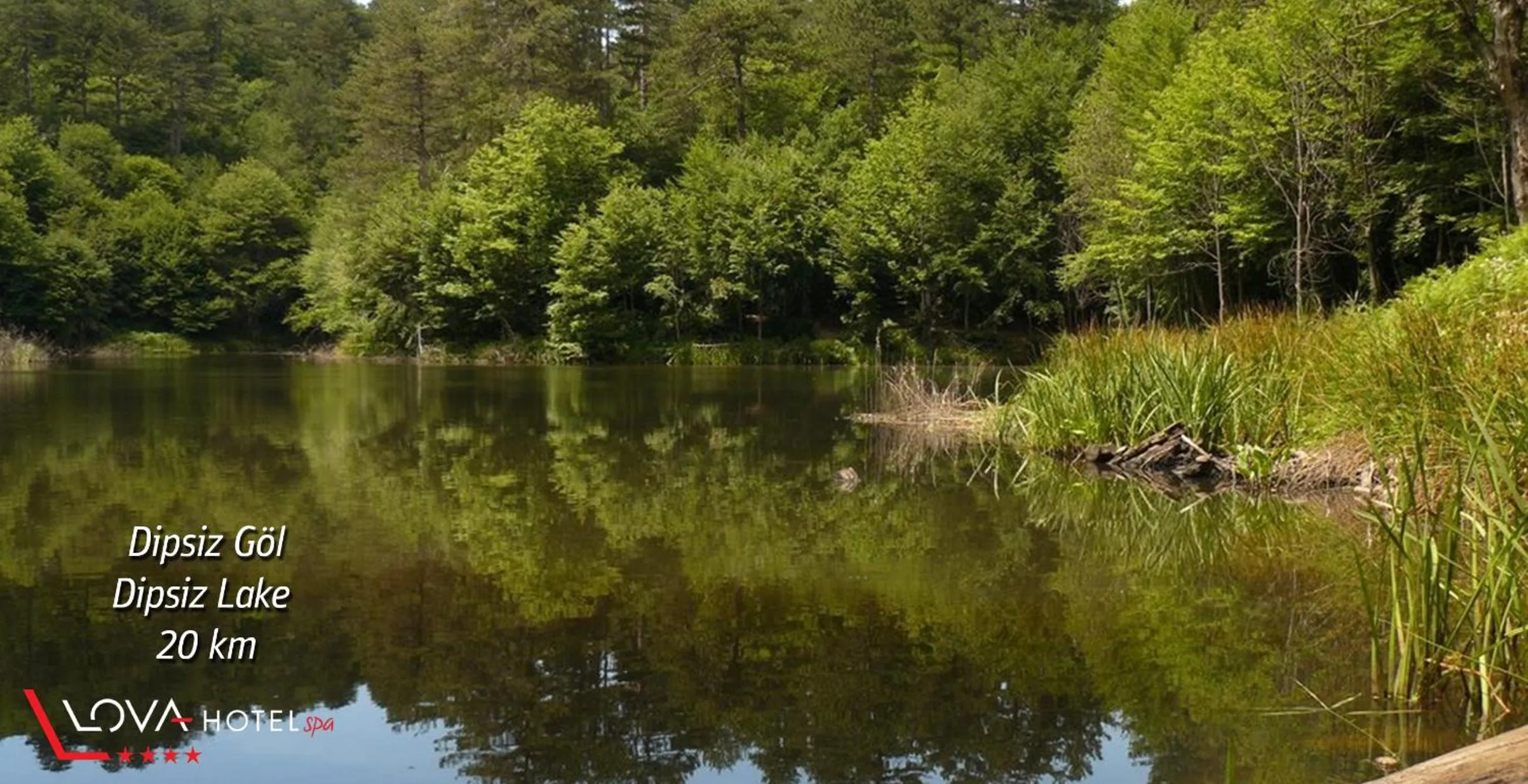 Other in Yalova Lova Hotel & SPA Yalova