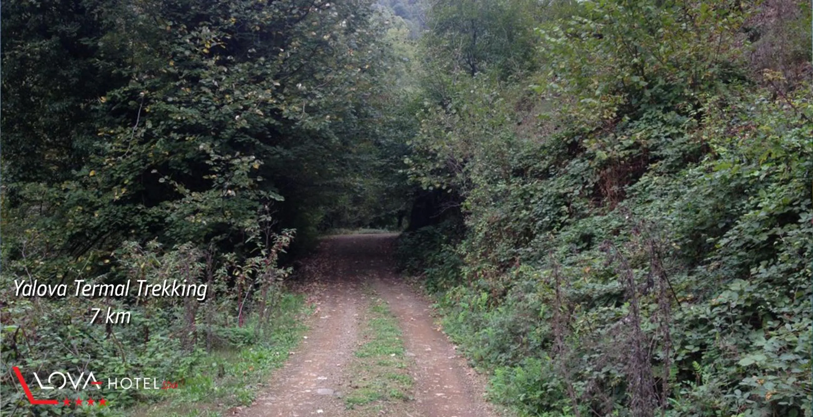 Other in Yalova Lova Hotel & SPA Yalova