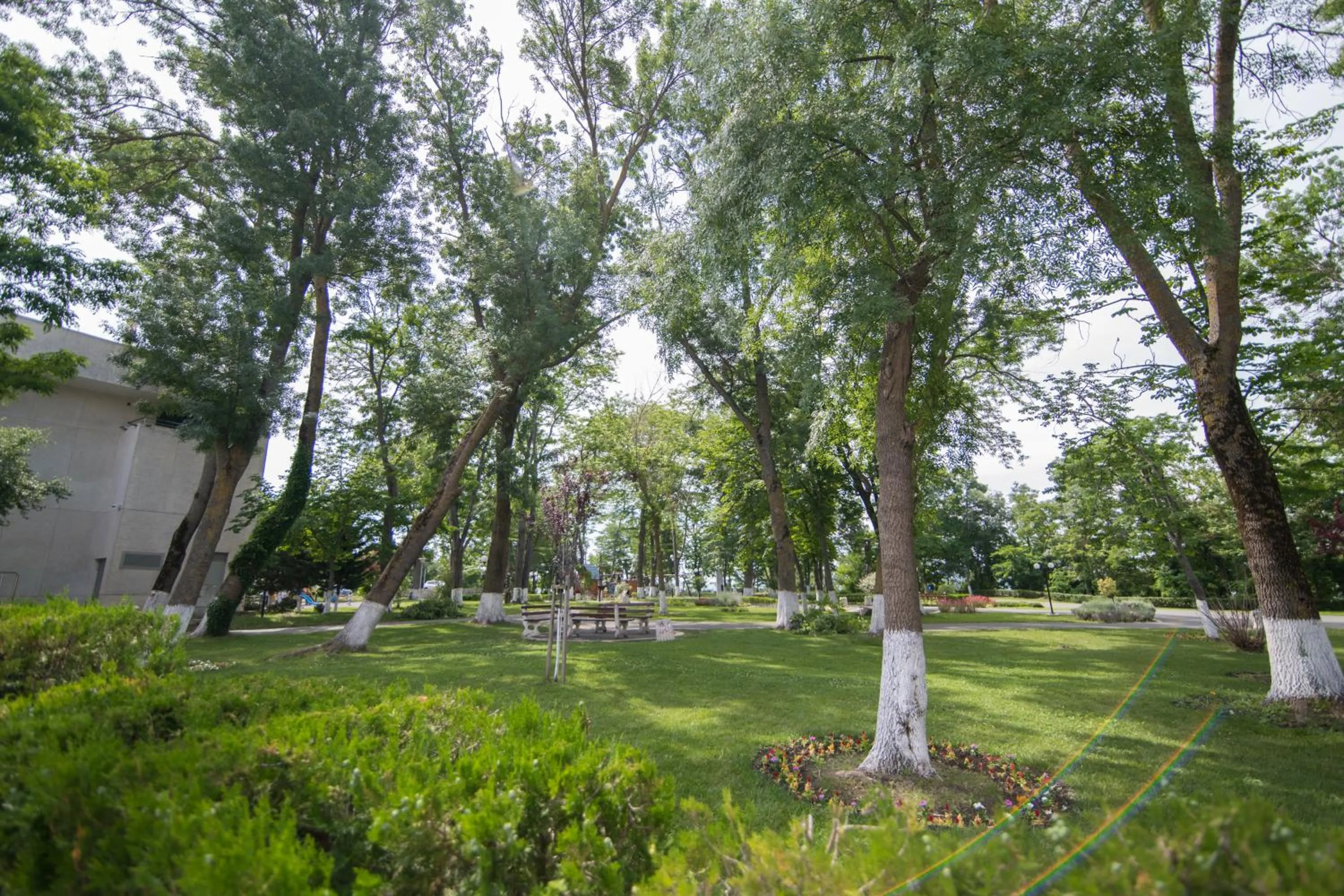 View (from property/room) in Cinema Hotel