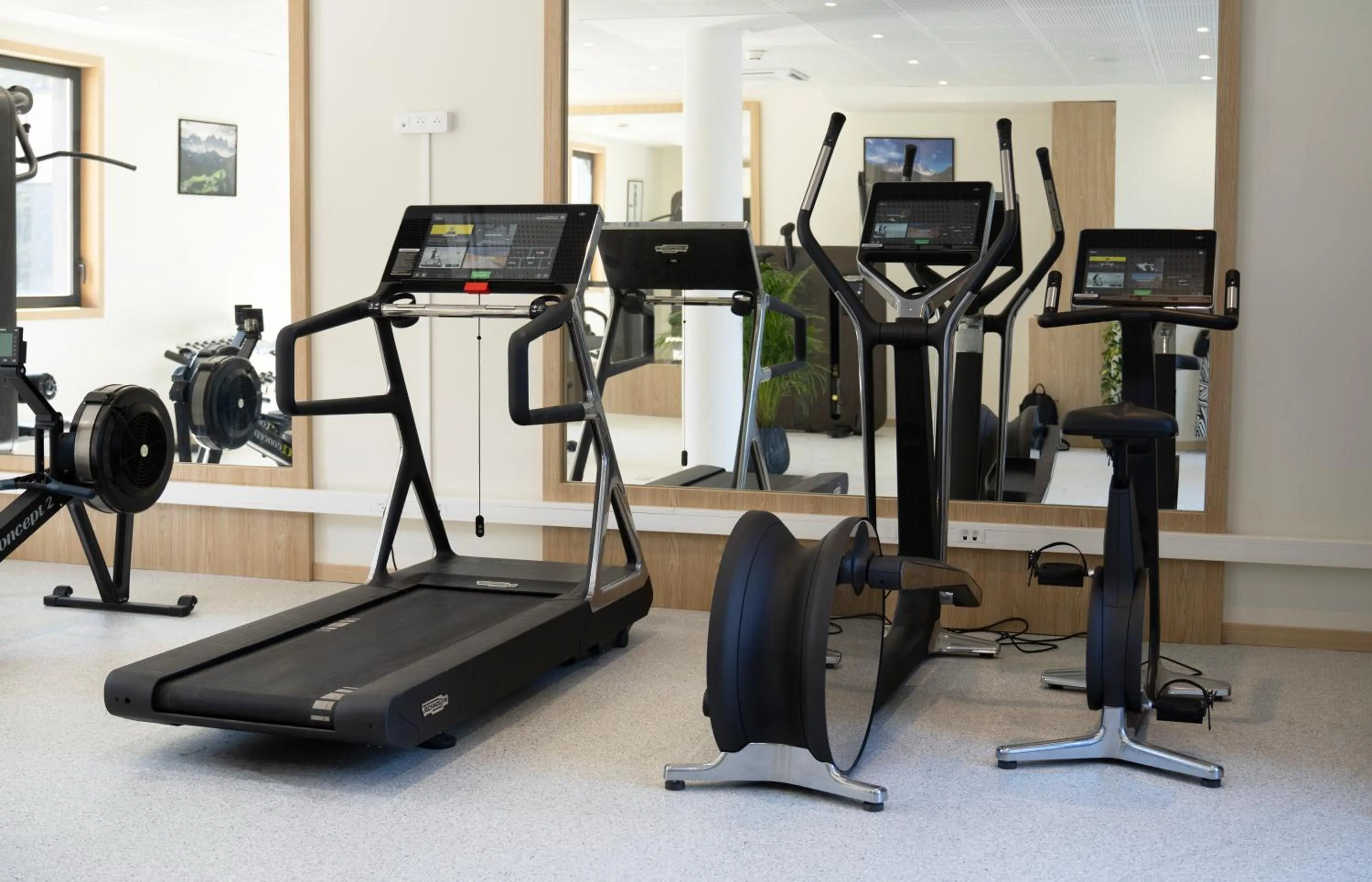 Fitness centre/facilities in Domaine de Dolomieu Hotel & Spa - BW Premier Collection