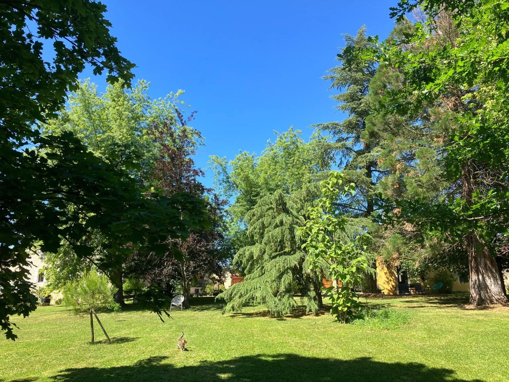 Garden in Le Clos De Quintaine Chambres d'Hôtes