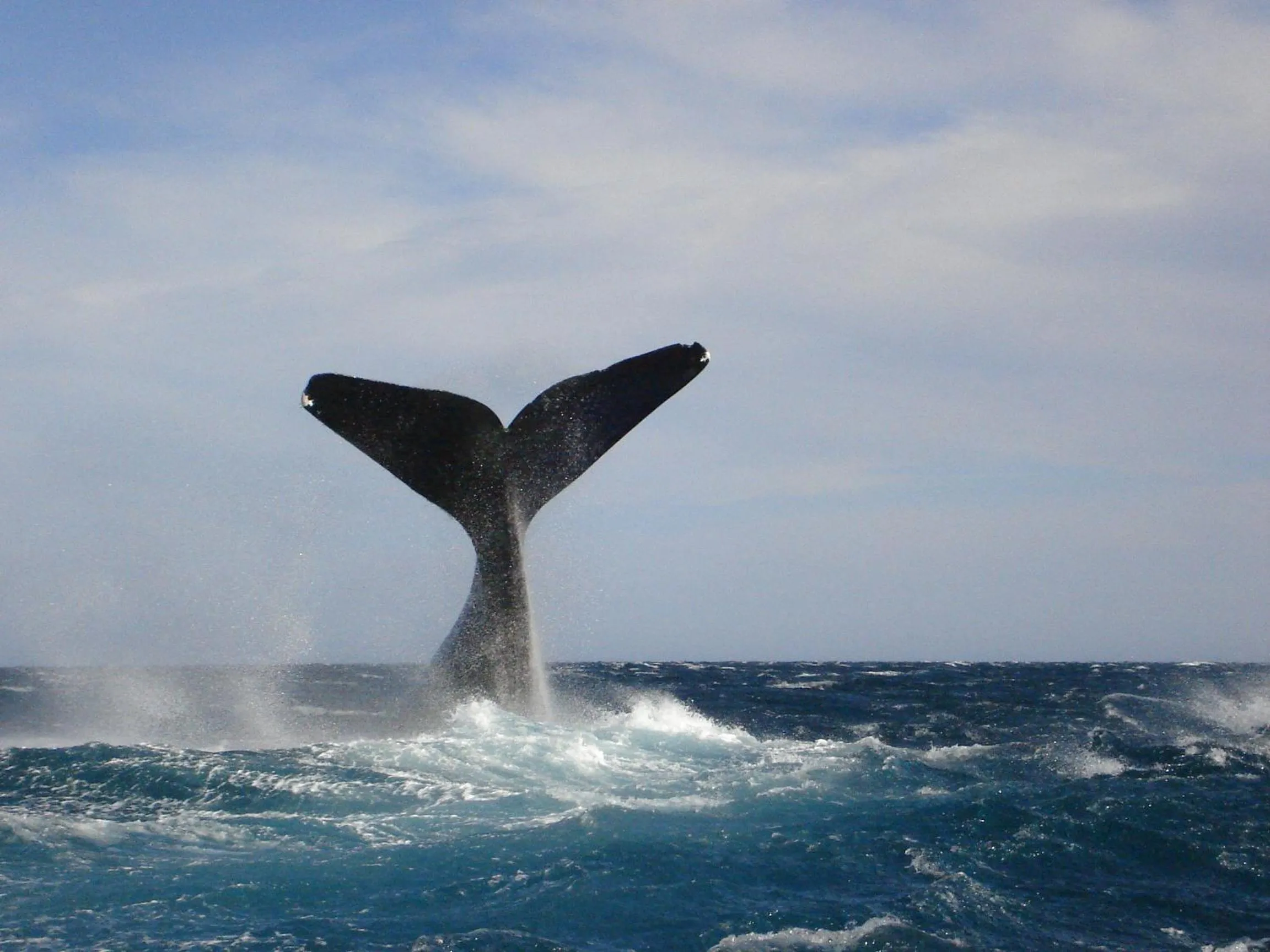 Natural landscape in Cheltum Hotel