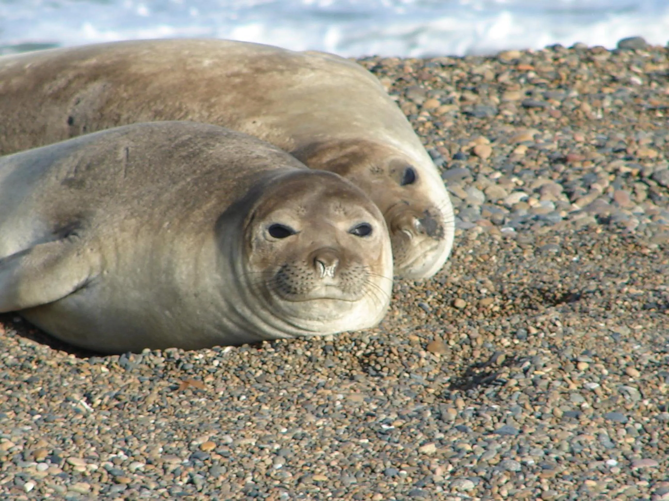 Natural landscape in Cheltum Hotel