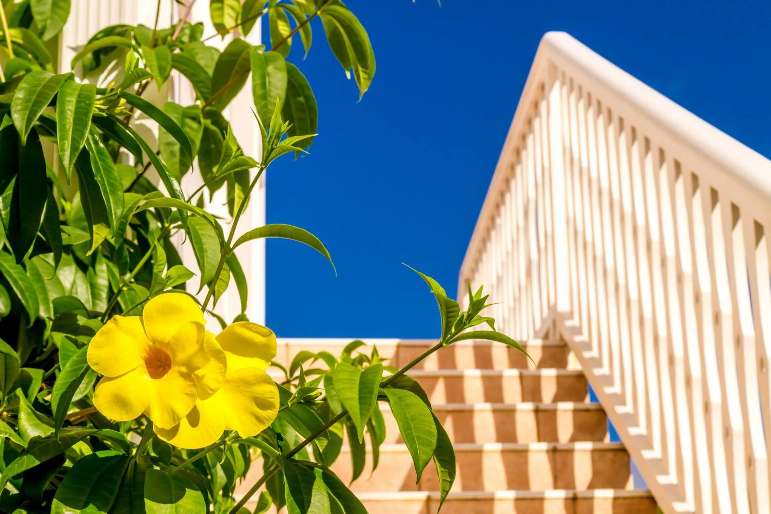 Garden in Hôtel Résidence Océane