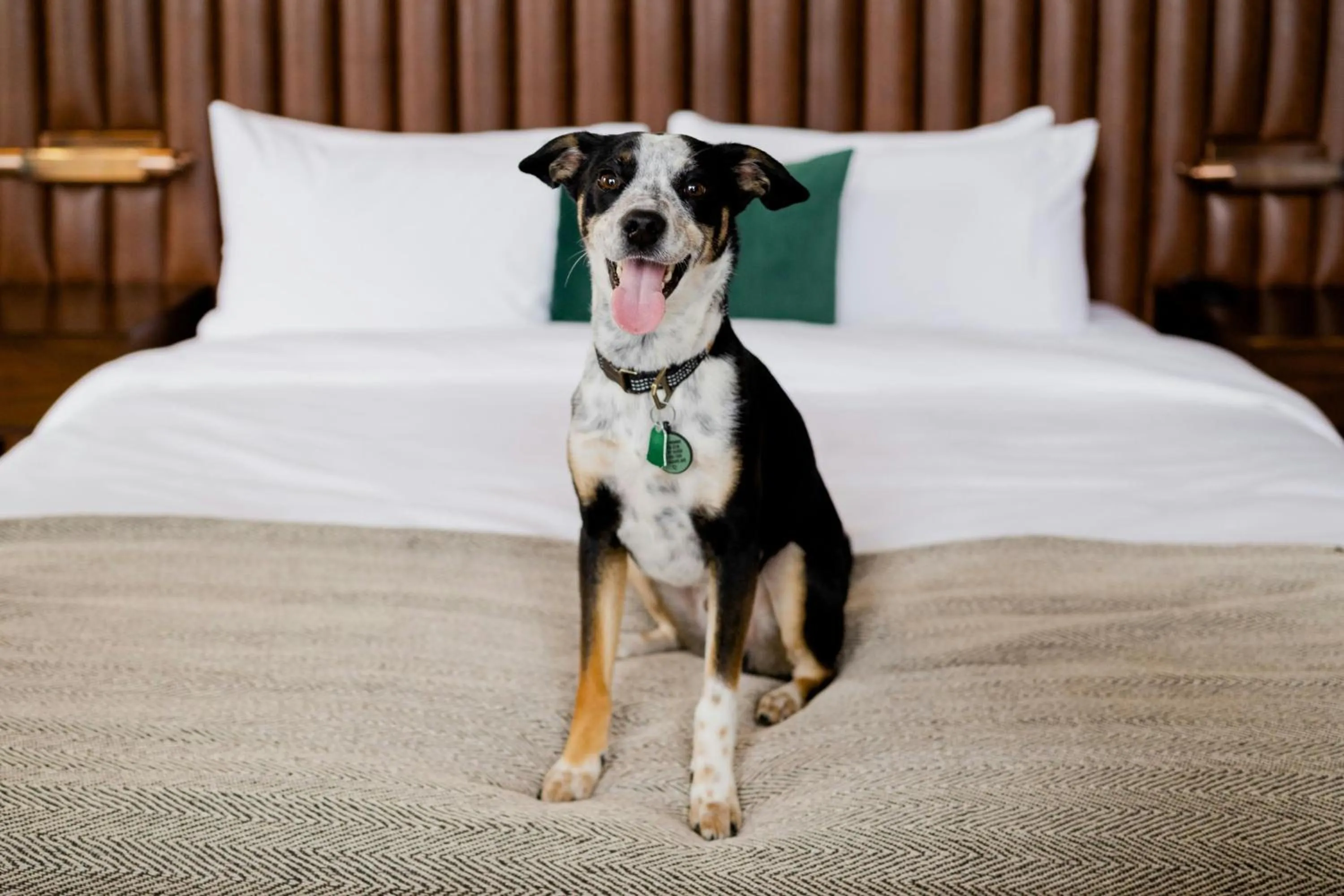 Photo of the whole room in Surety Hotel, Autograph Collection