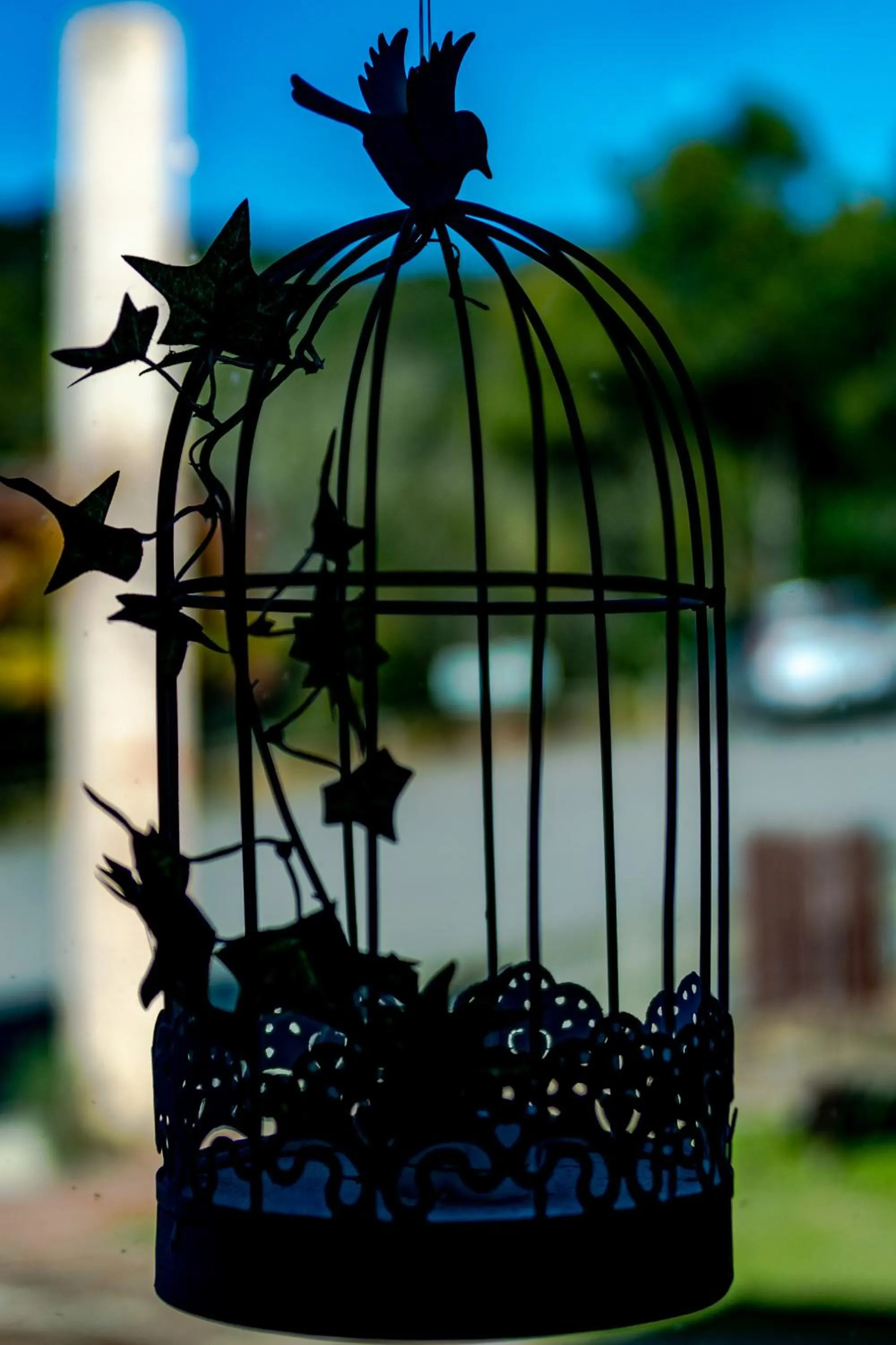 Serra Bela Eco Pousada