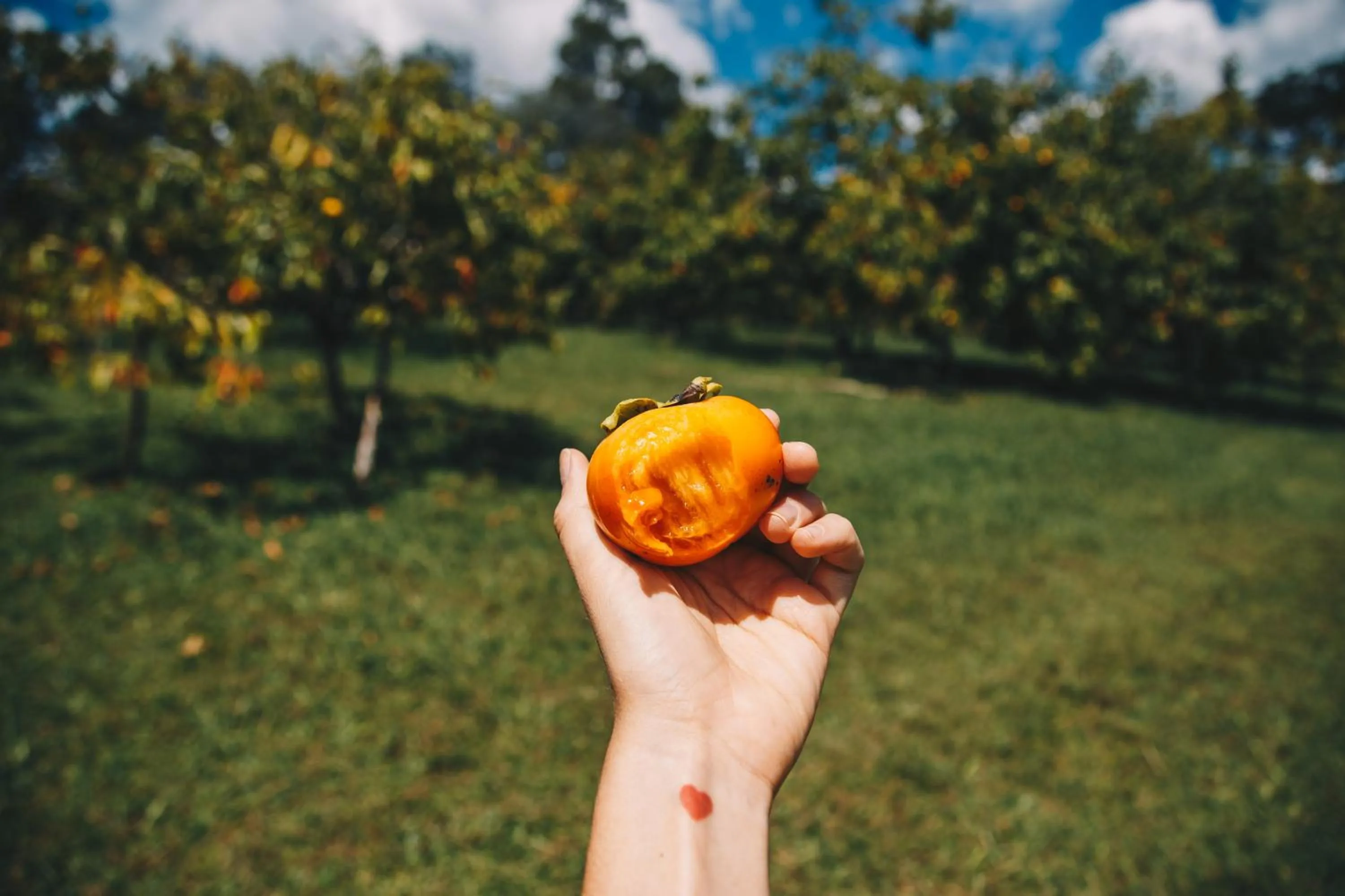 Serra Bela Eco Pousada