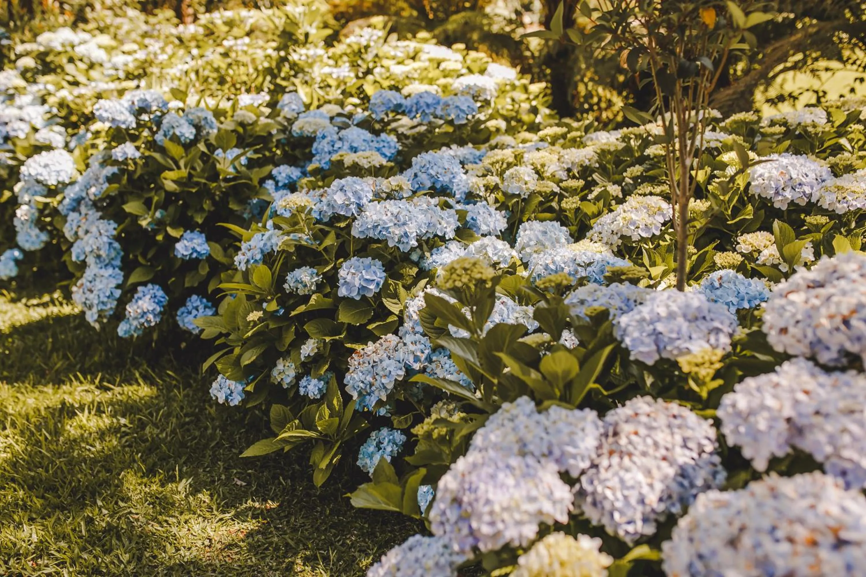 Serra Bela Eco Pousada