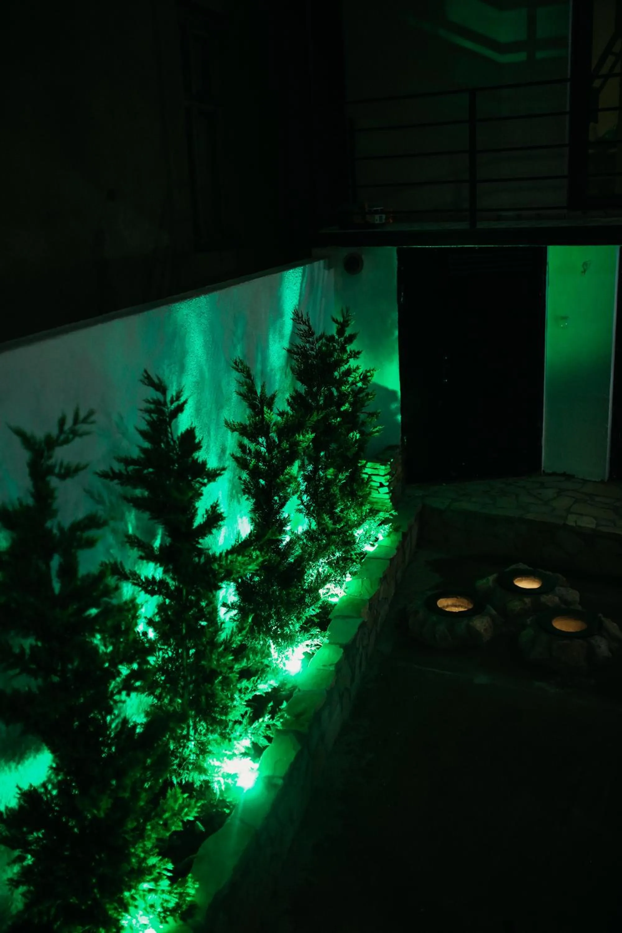 Garden view in Hotel History