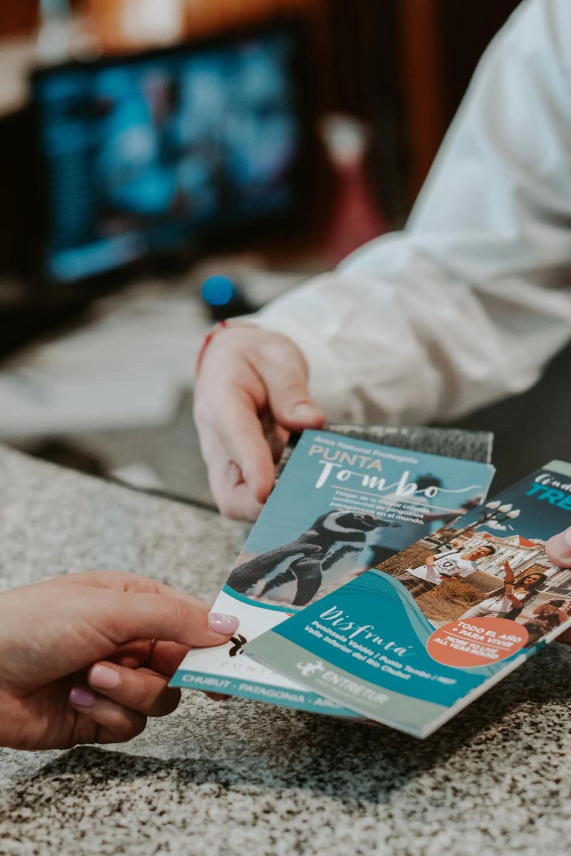 Activities in Hotel Libertador