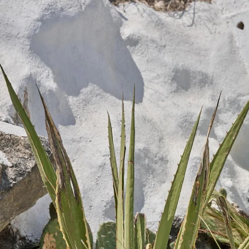 Topos Exclusive Santorini