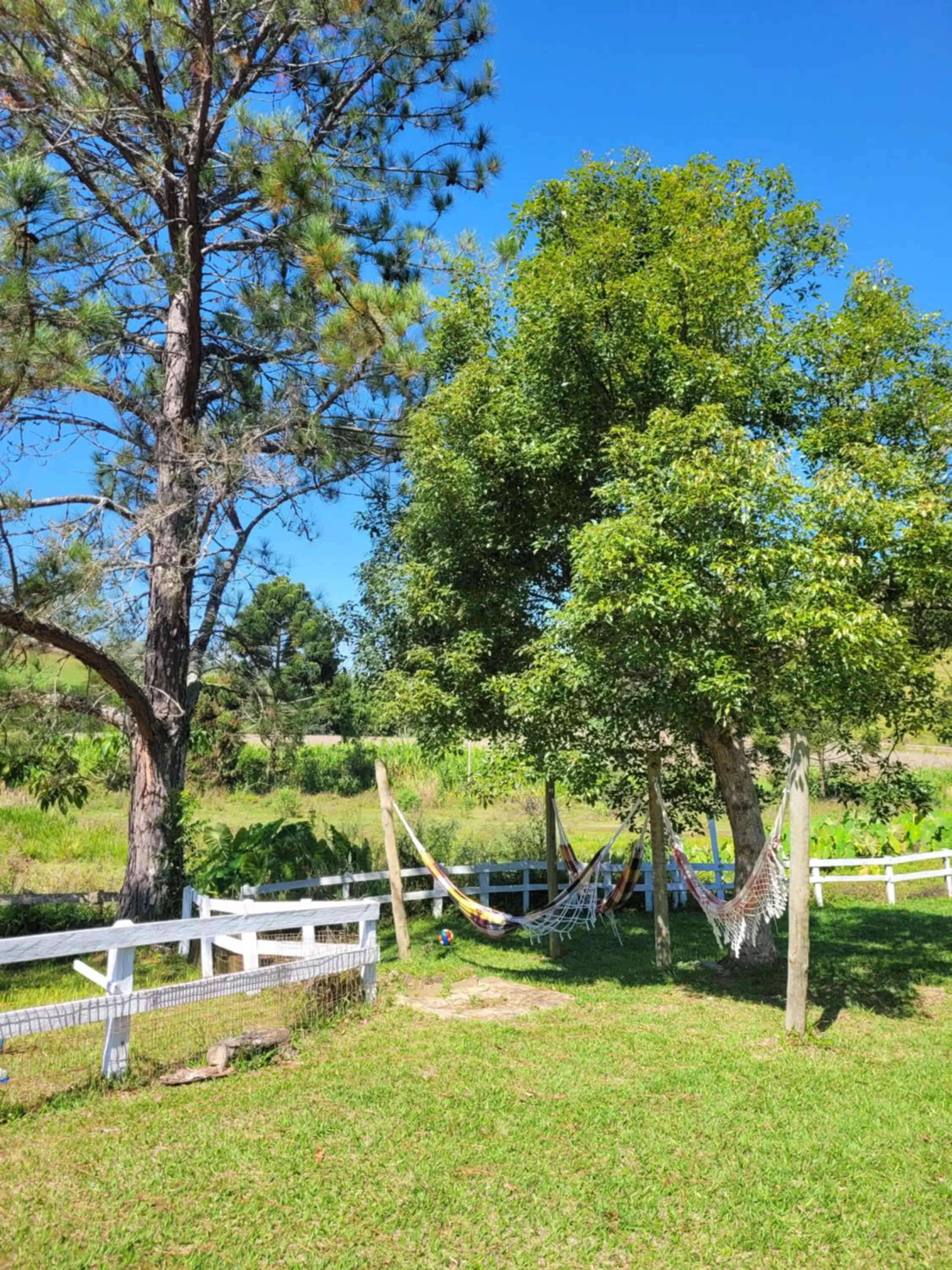 Entertainment in Fazenda Serra que Chora - Pousada e Restaurante