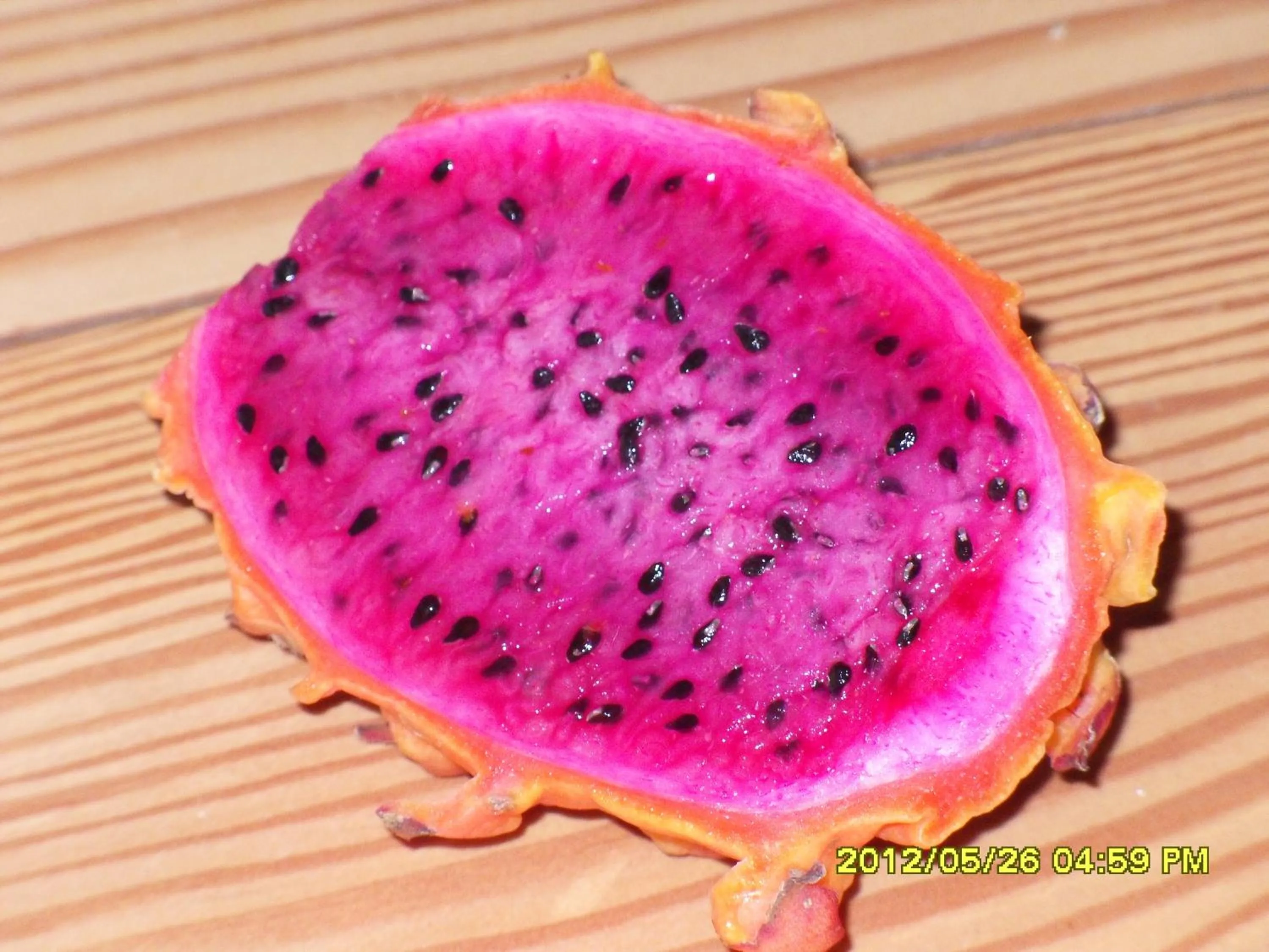 Food close-up in Fern Forest Getaway